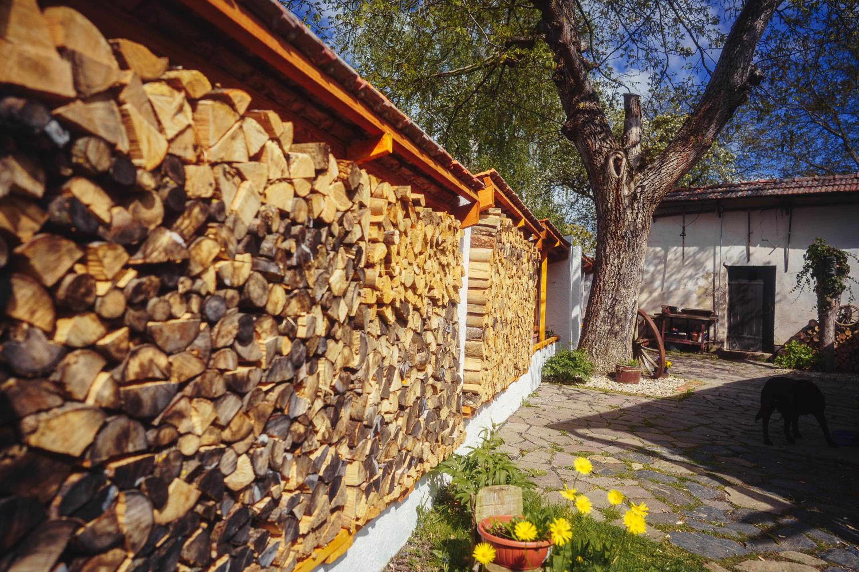 Chalupa Ořešák - Walnut House