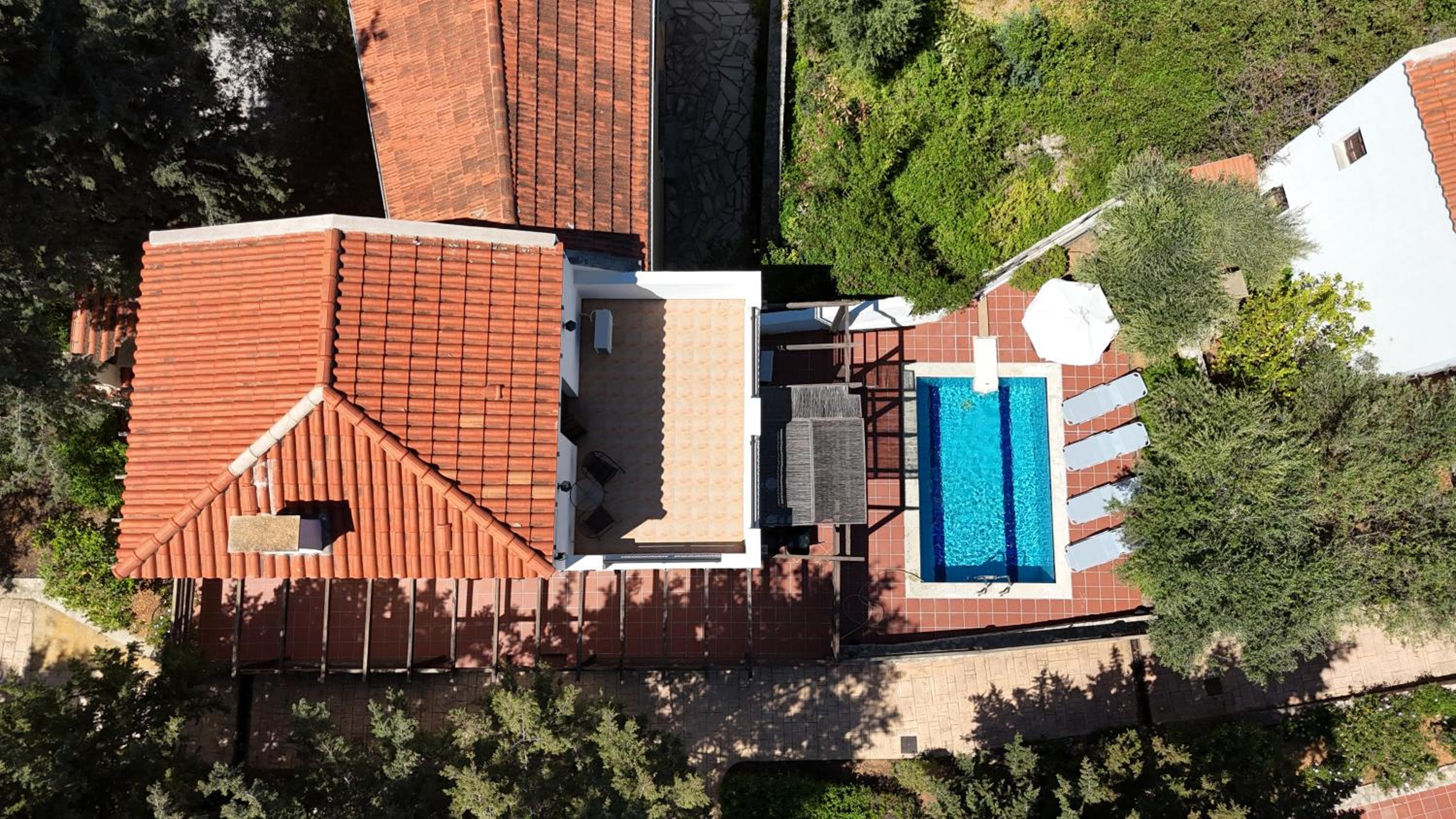 Villa Olivia