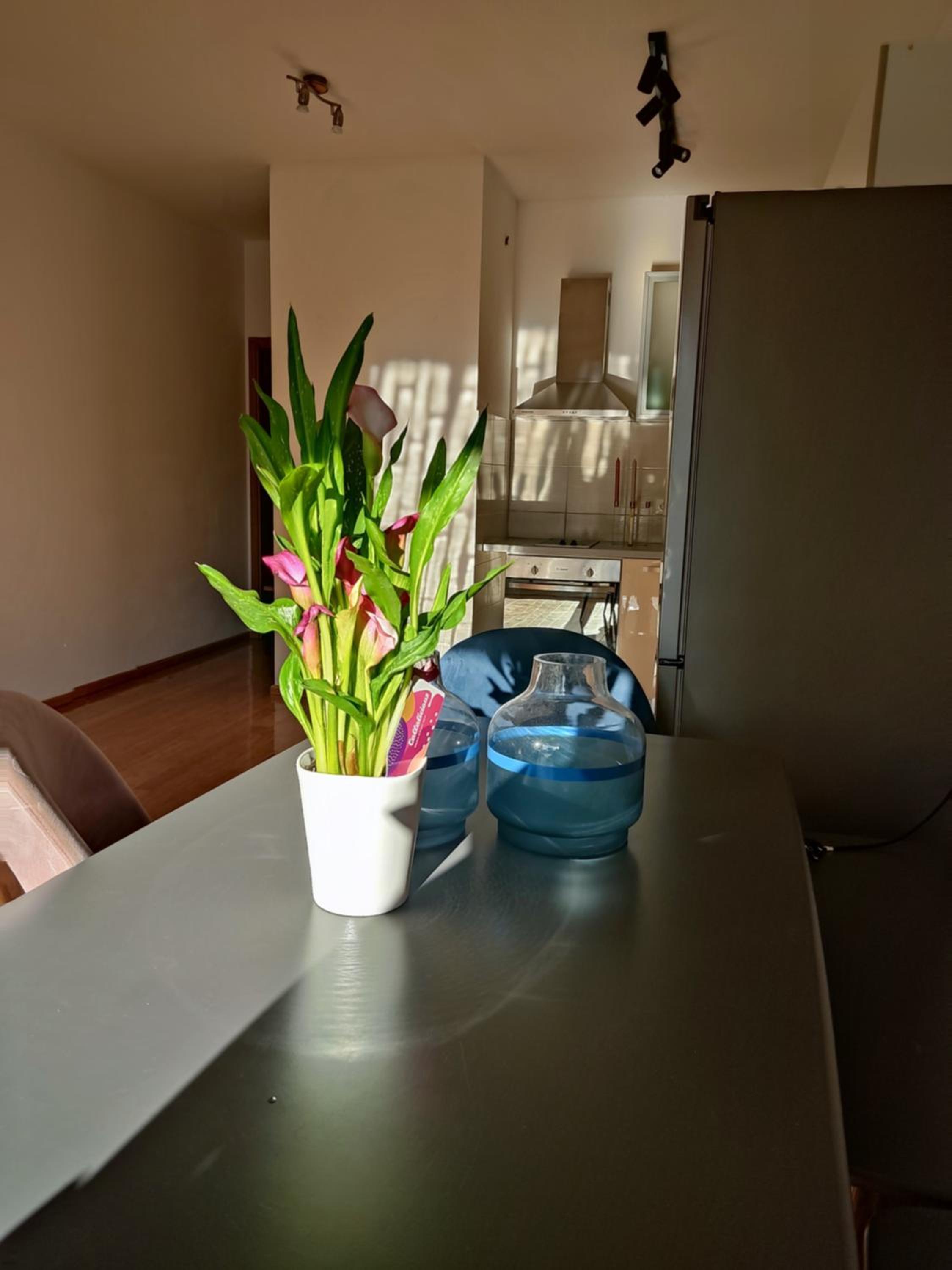 Appartment Blue