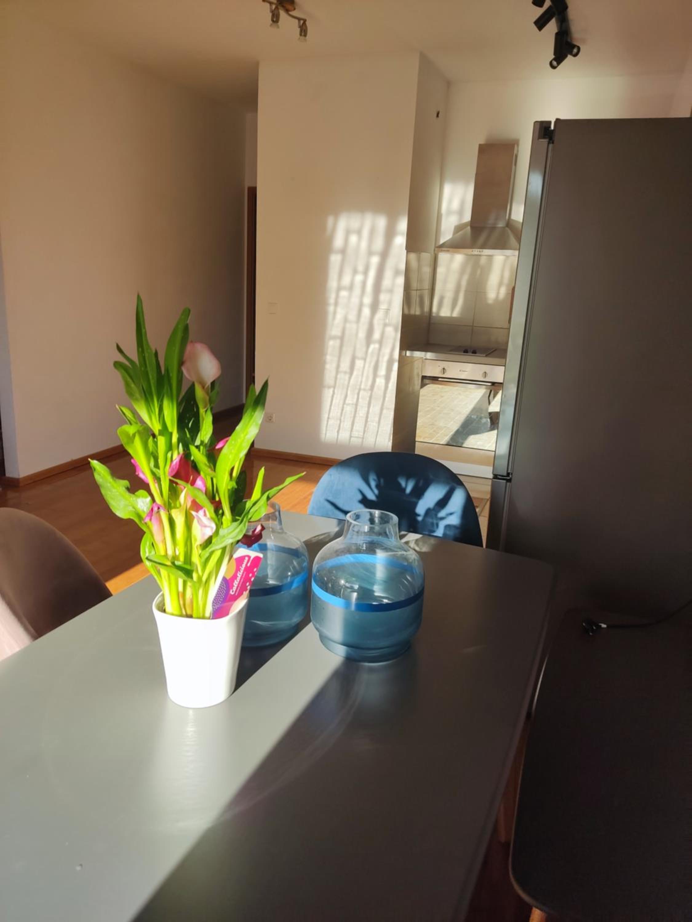 Appartment Blue