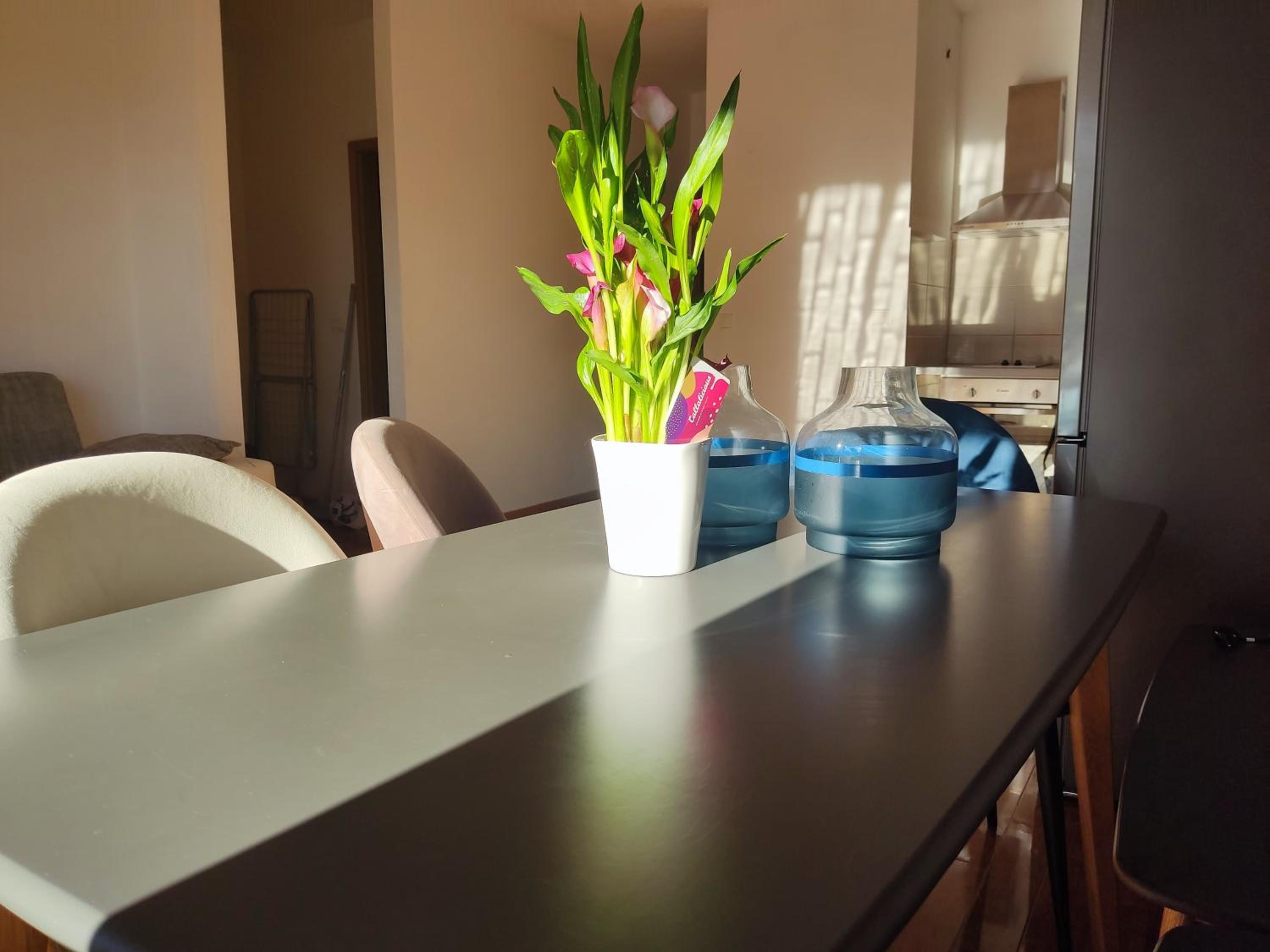 Appartment Blue
