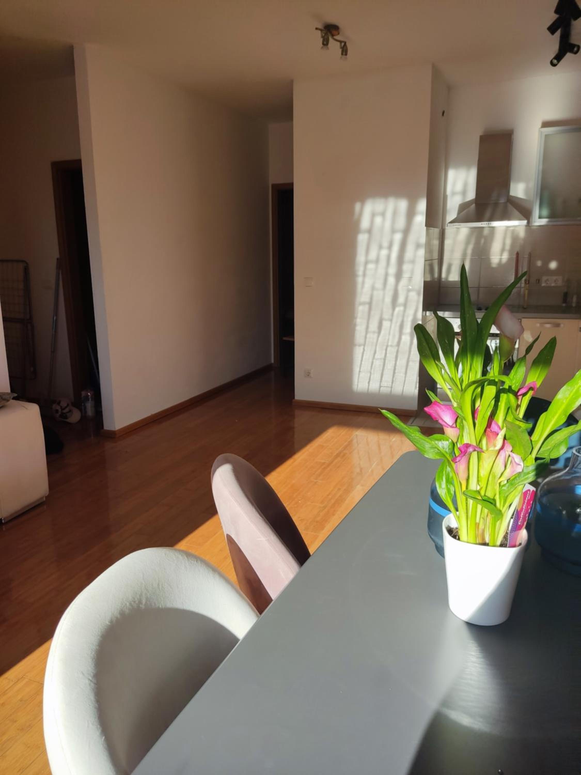 Appartment Blue