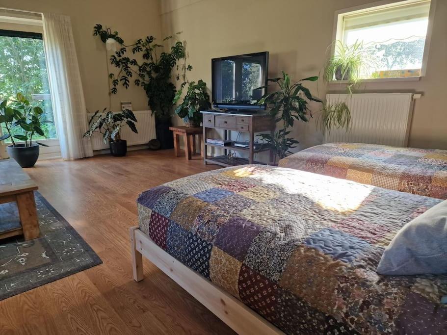 Whispering O - B&B Ermelo Speuld On the Veluwe view 5