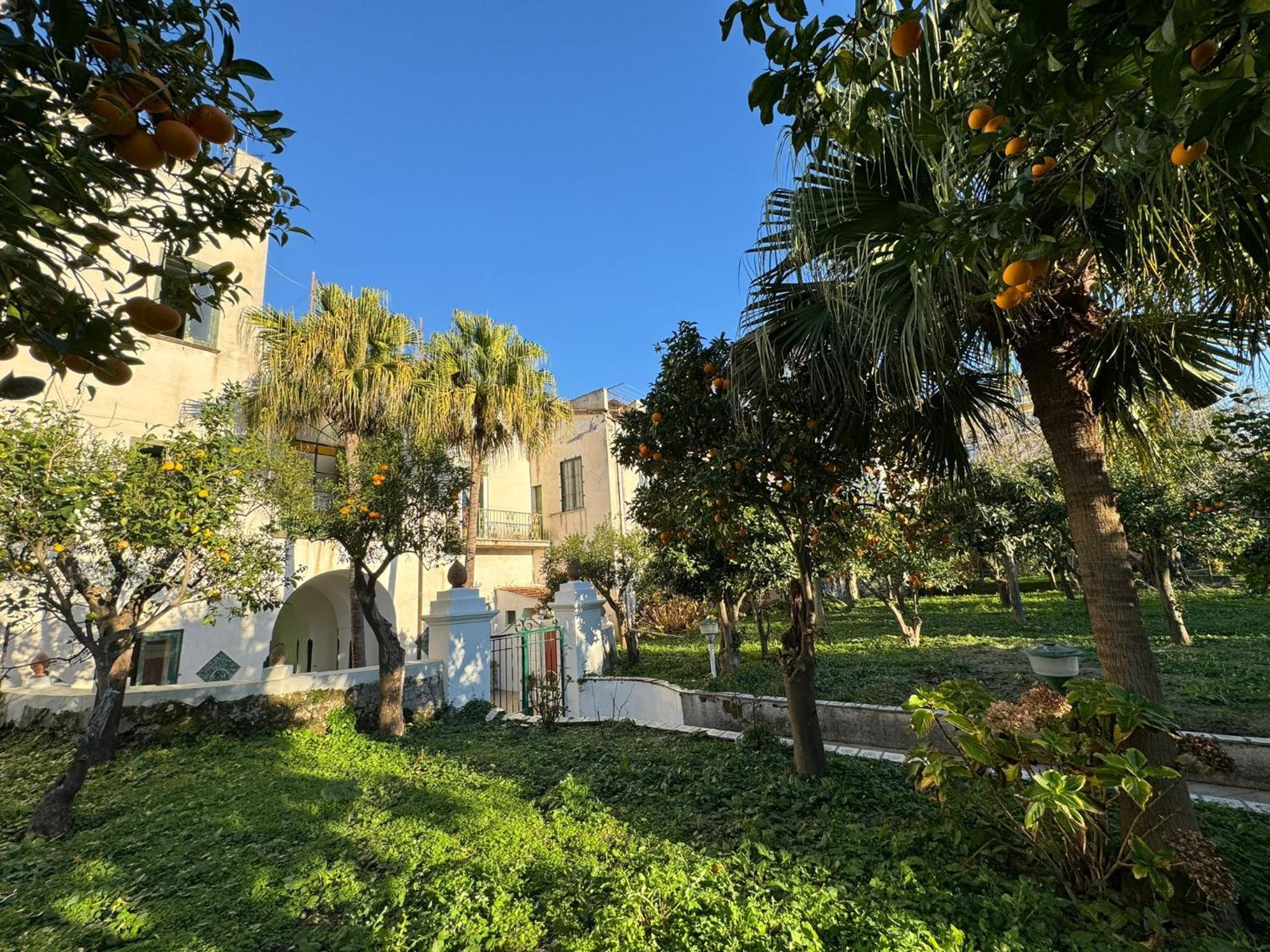 Seasuntour - Meta CC Palace photo 5