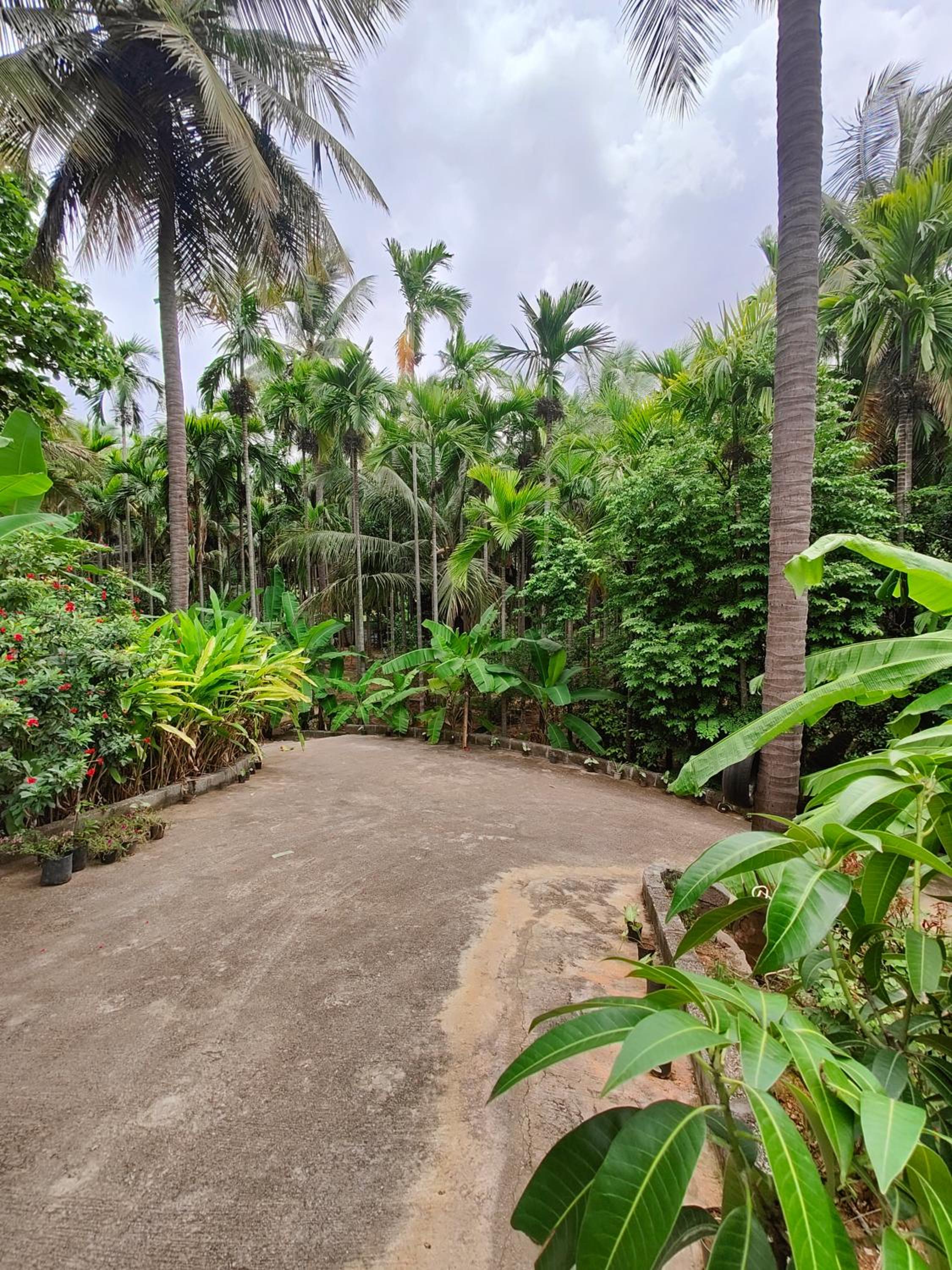 Yellaki Farm Stay view 4