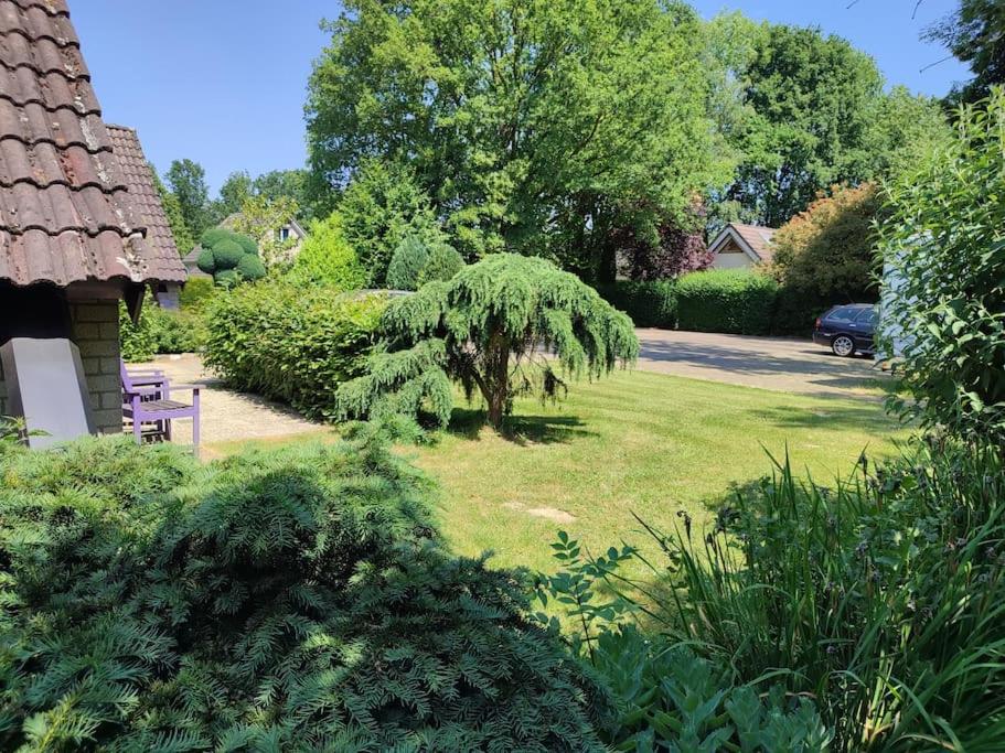 vrijstaande recreatiebungalow met slaapvide
