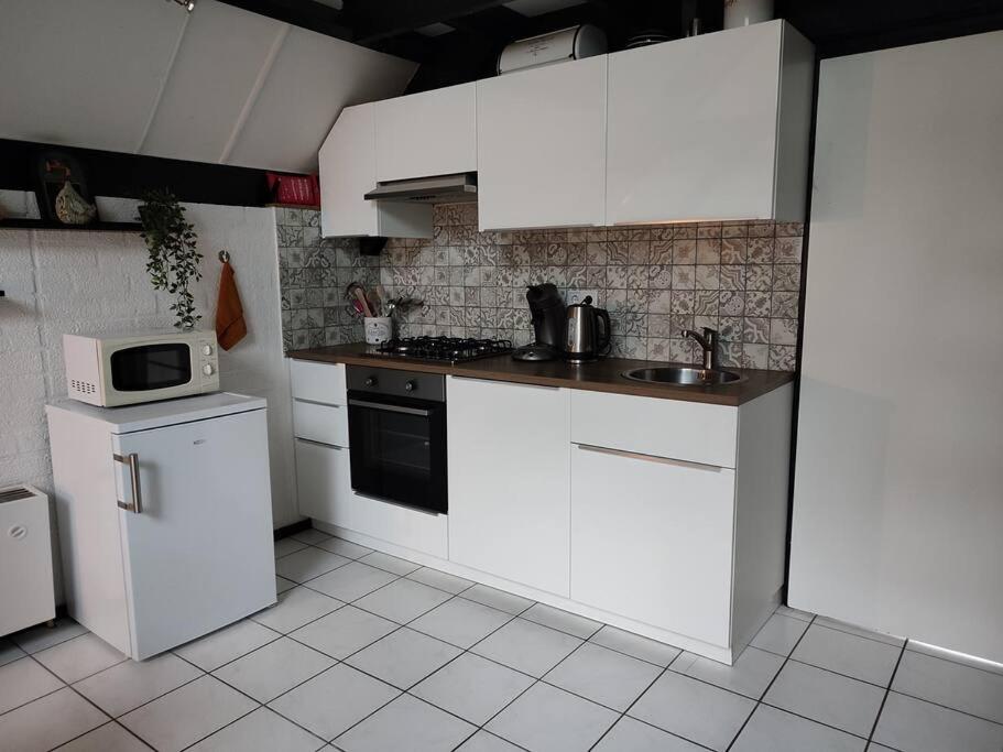 vrijstaande recreatiebungalow met slaapvide