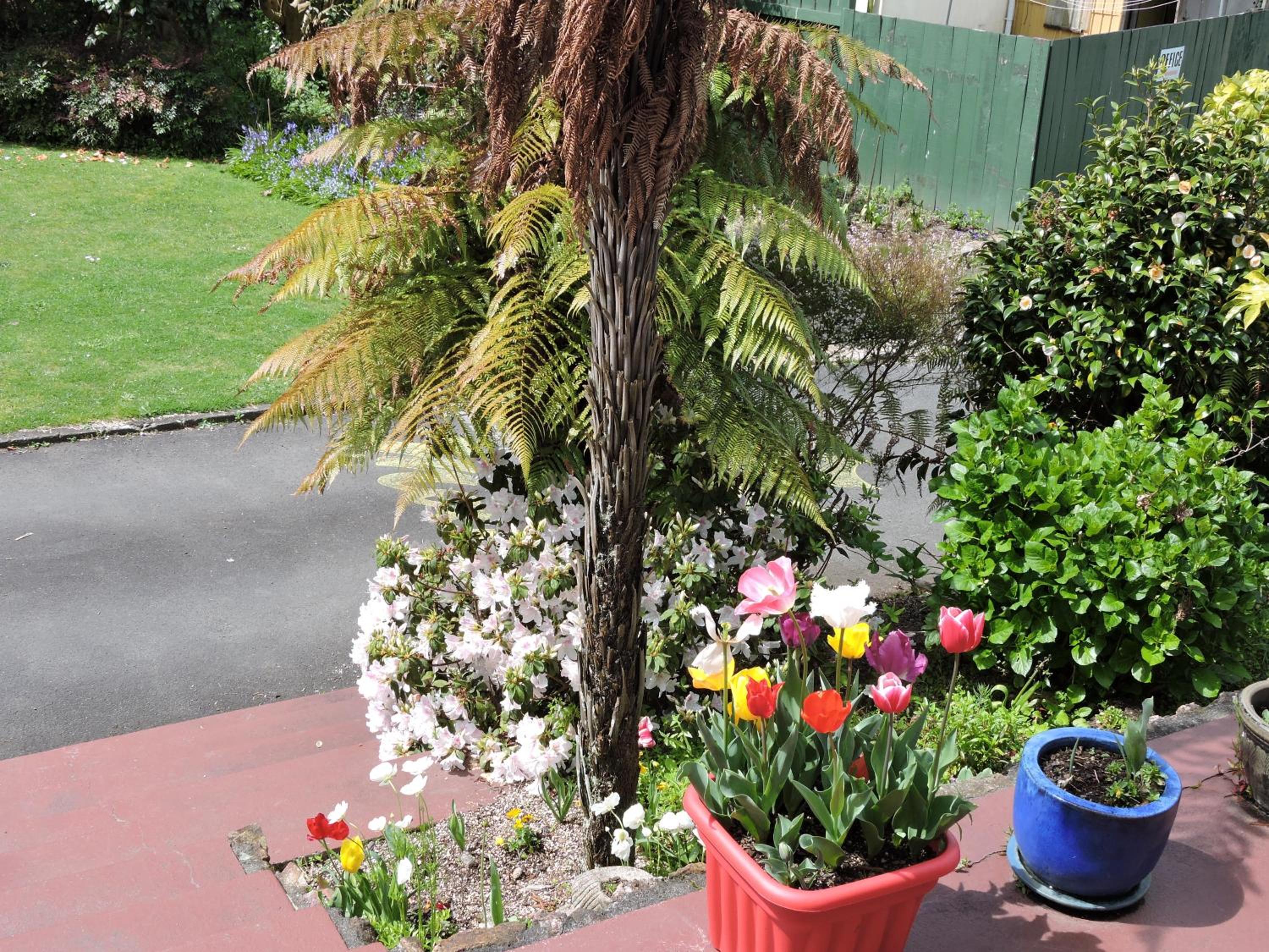 Photo 22