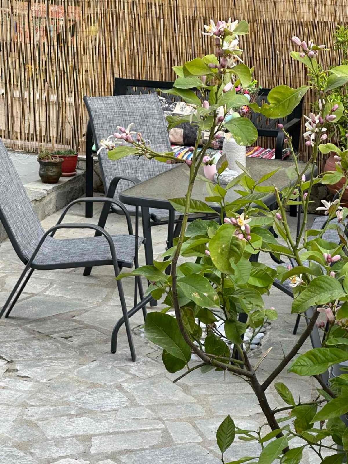 Nancy & Vaggelis Holiday Studios photo 5