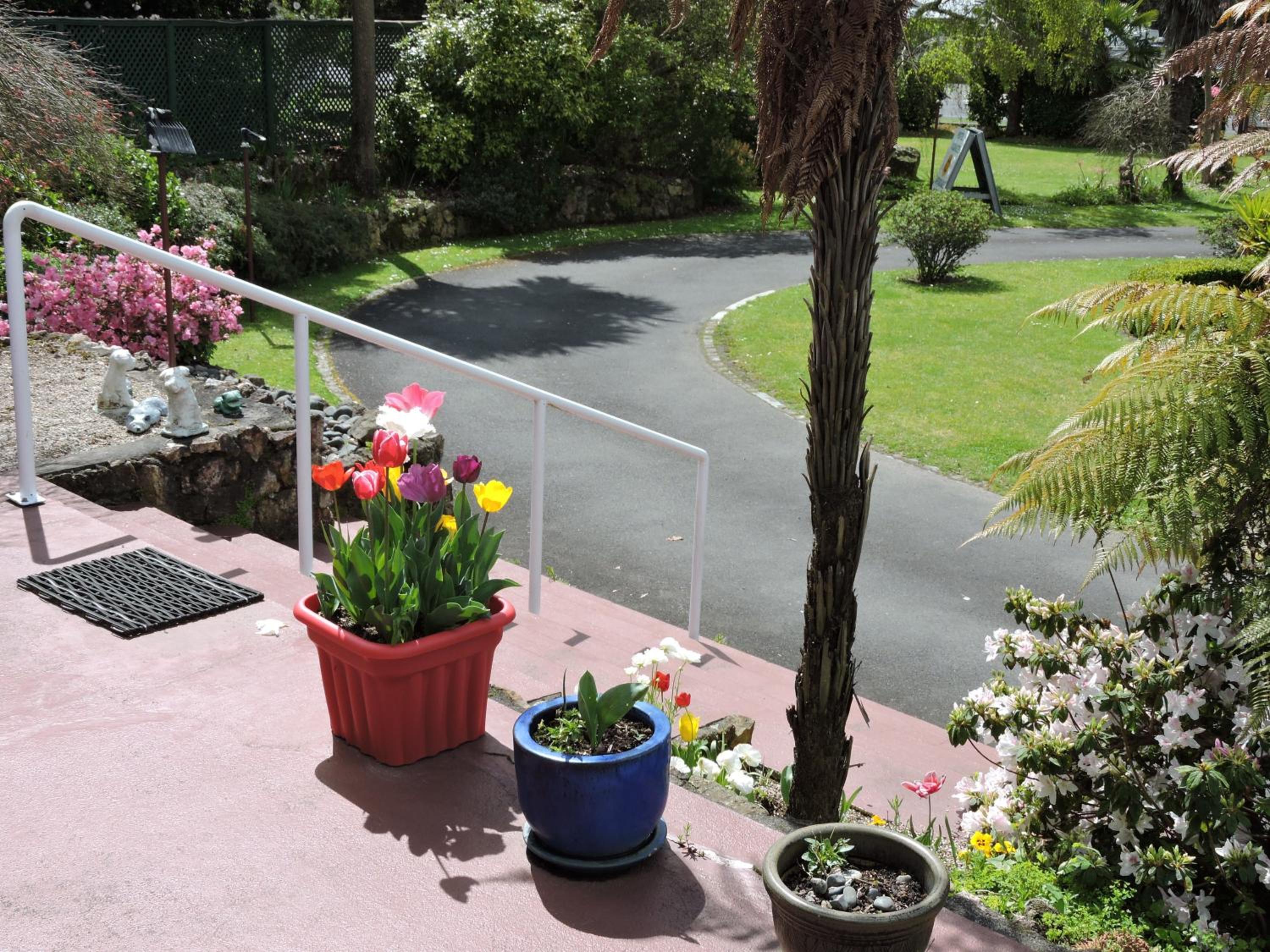 Photo 11