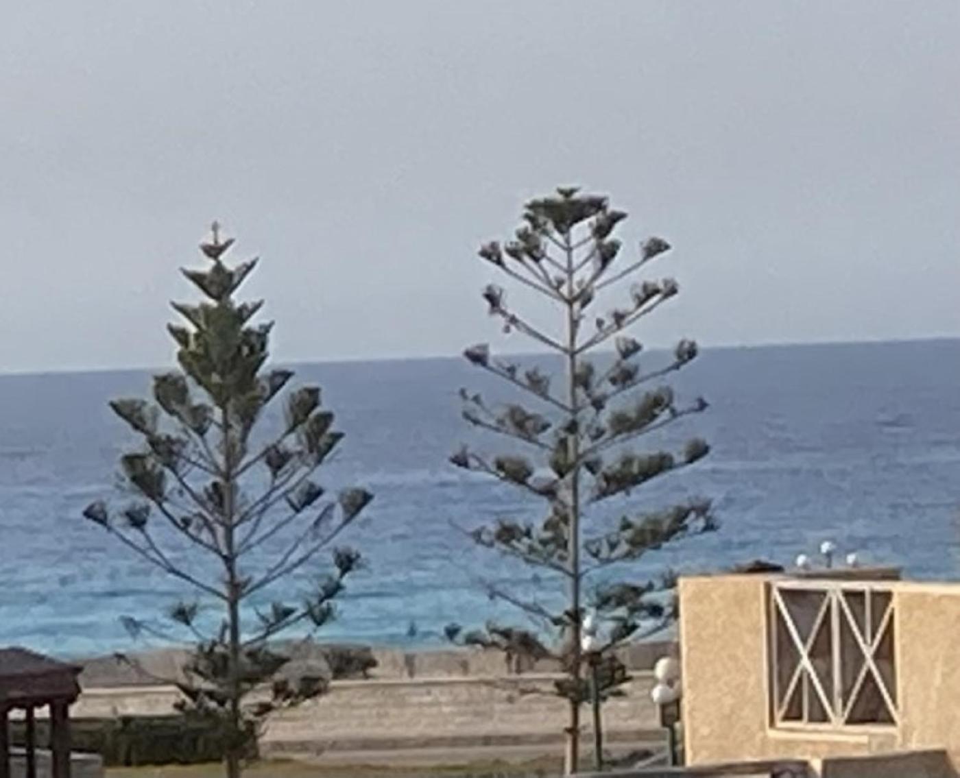 On the beach house view 3