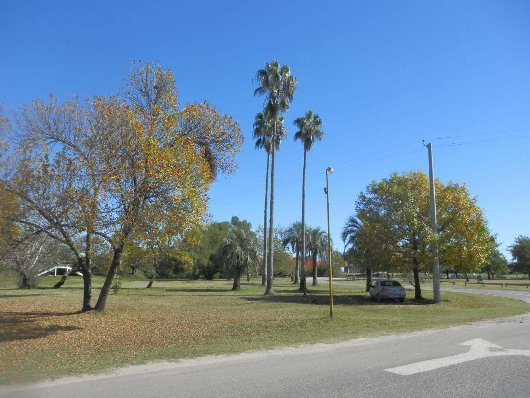 Cabañas Los Girasoles