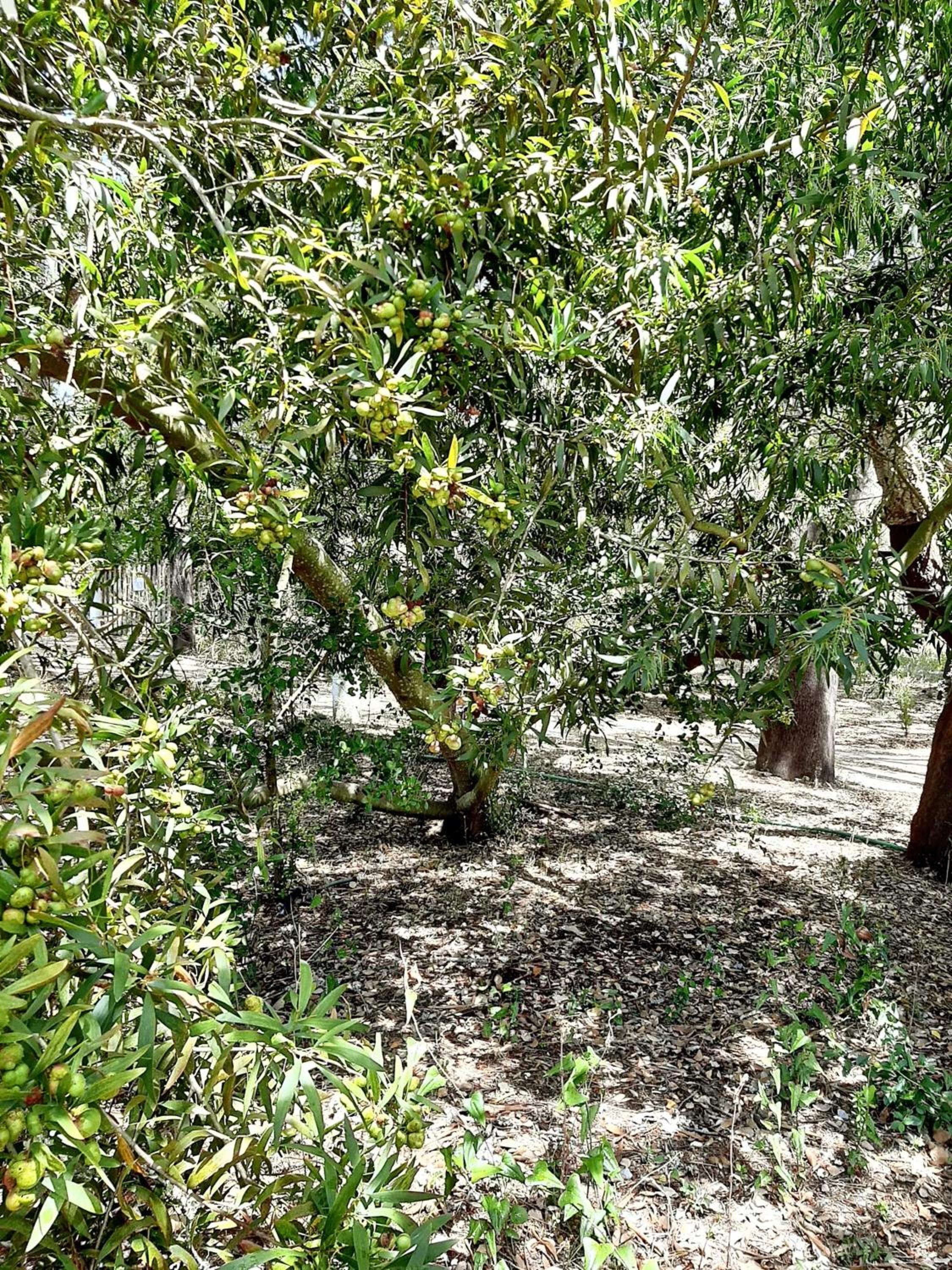 Photo 20