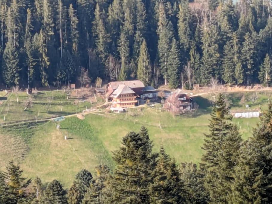 Ferienwohnung in Emmentaler Bauernhaus, Vogelsang