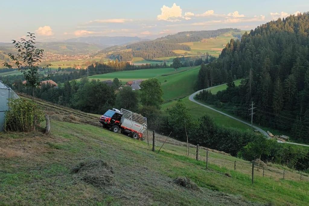 Ferienwohnung in Emmentaler Bauernhaus, Vogelsang