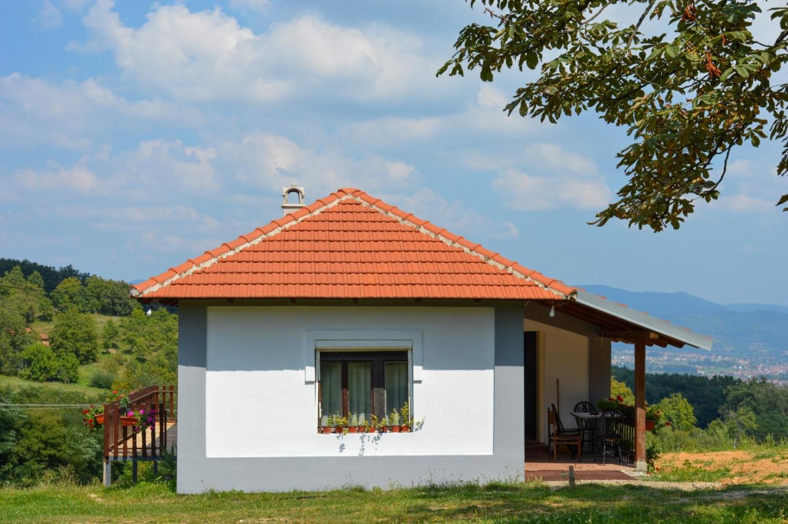 Brusnica konaci