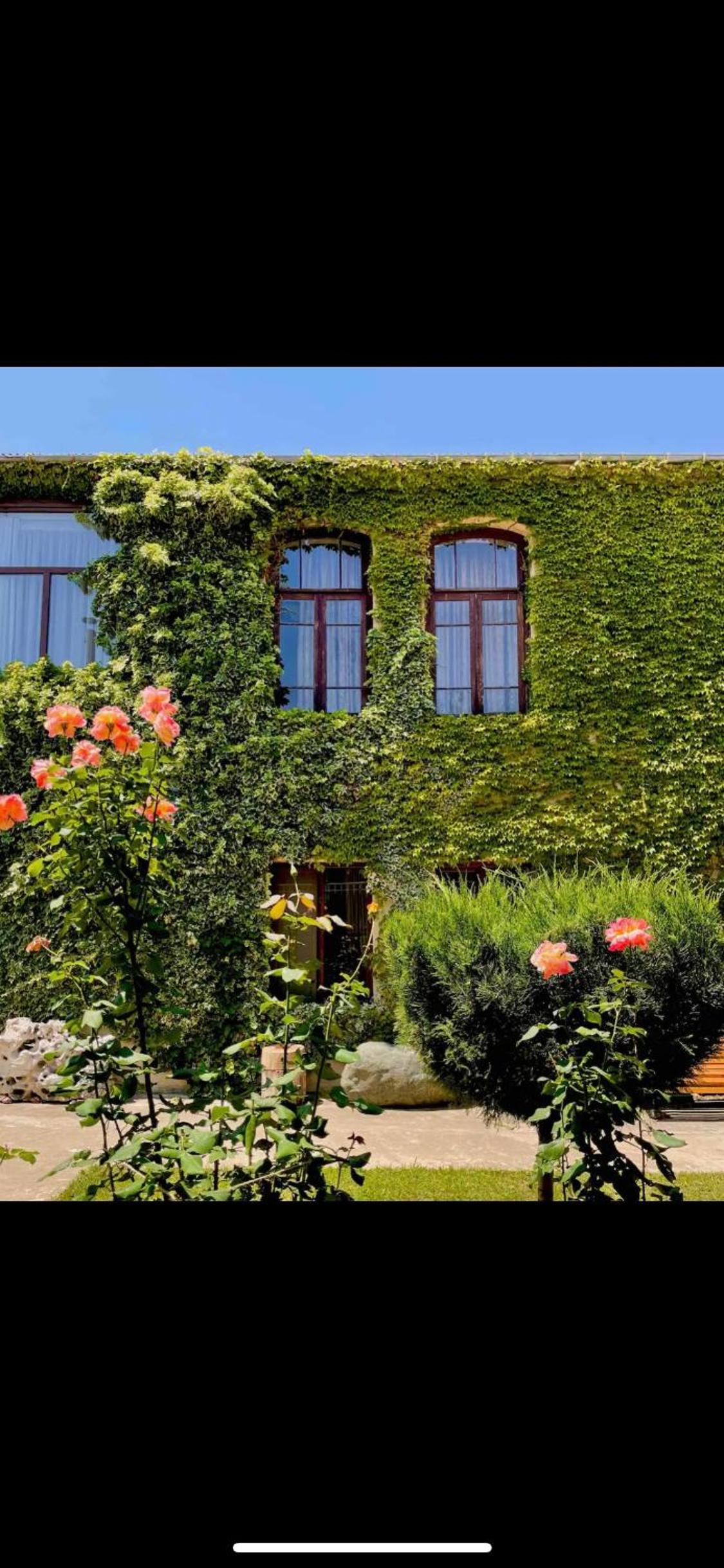 Guesthouse Edena