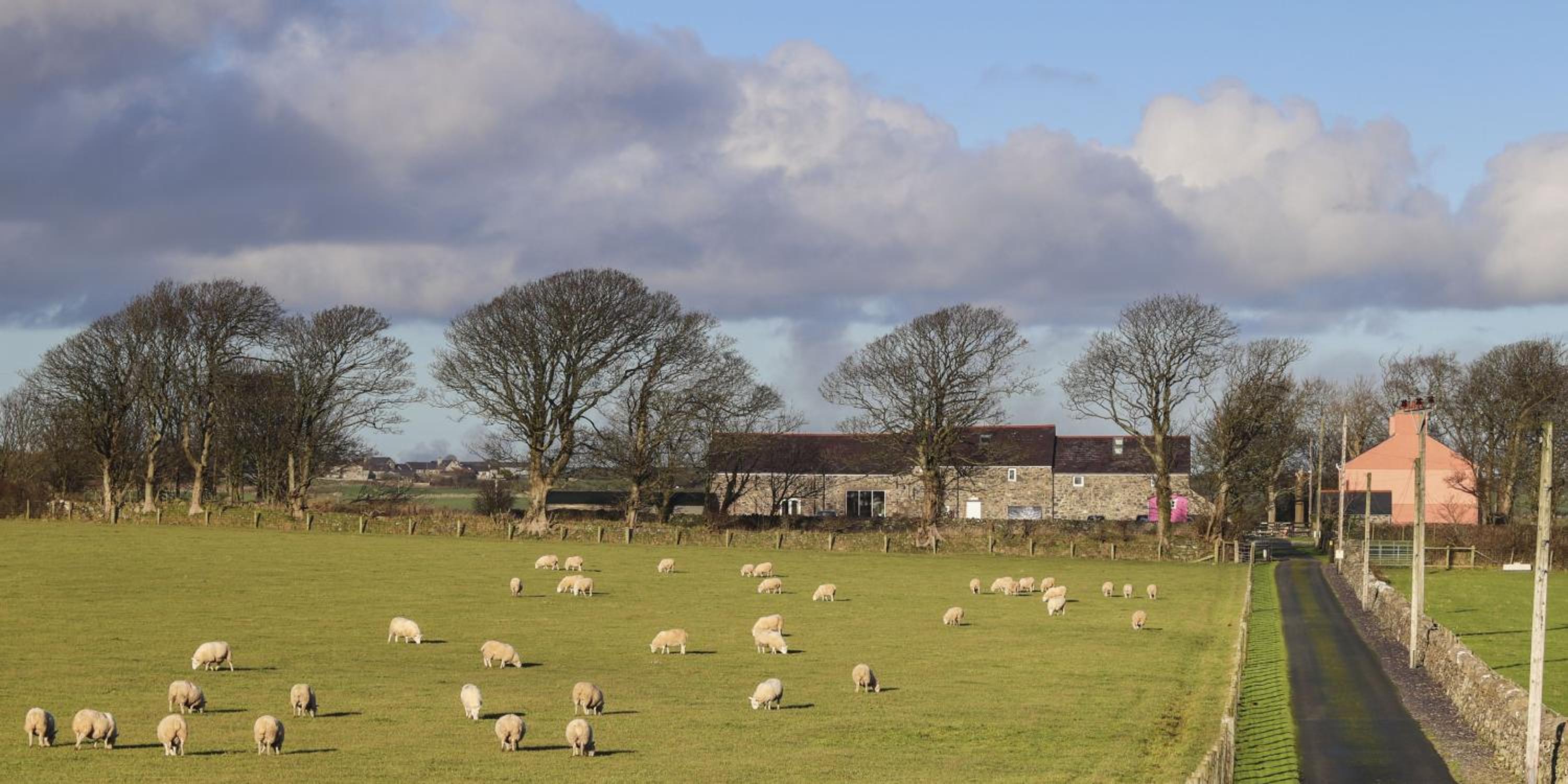 The Outbuildings