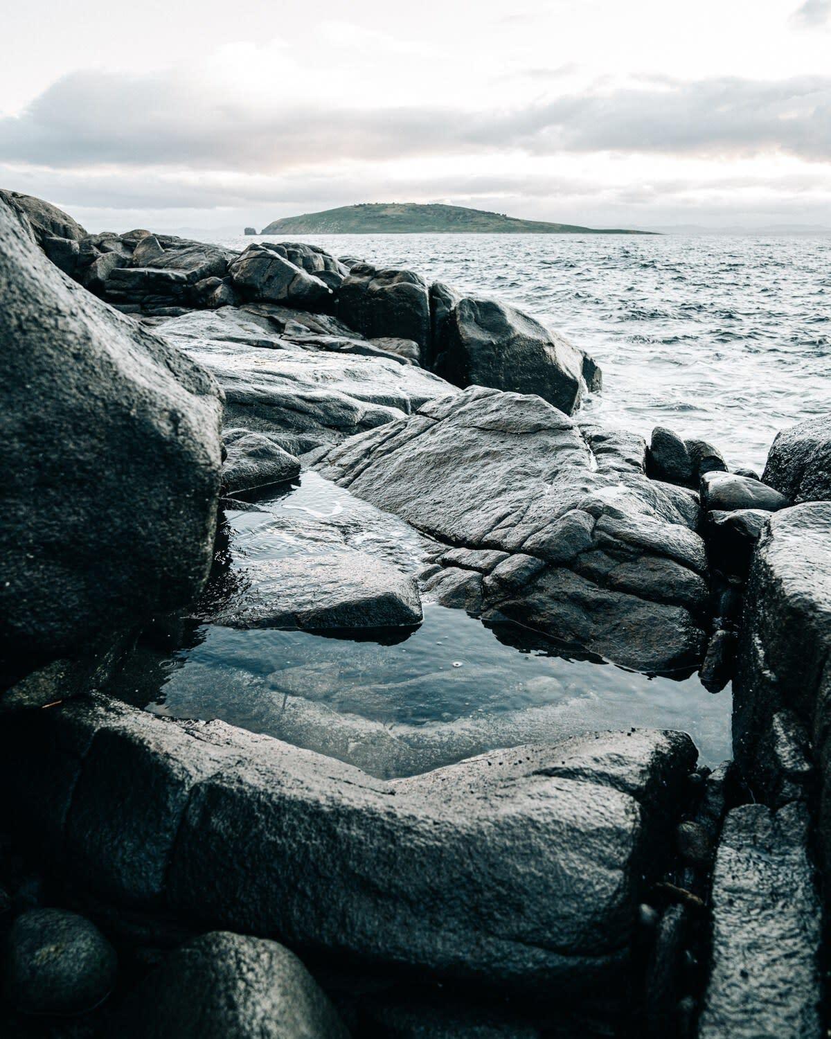 Siren Tasmania