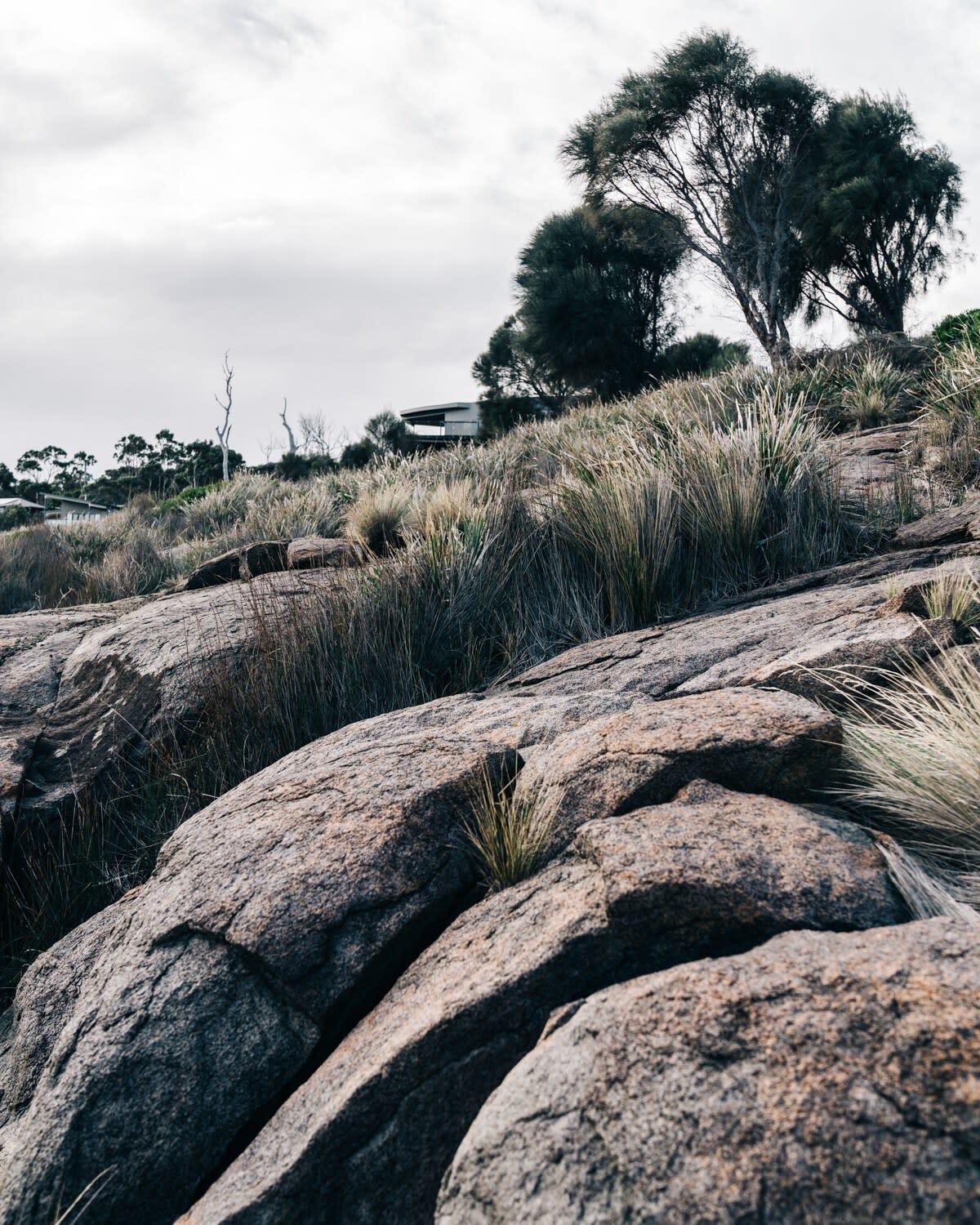 Siren Tasmania