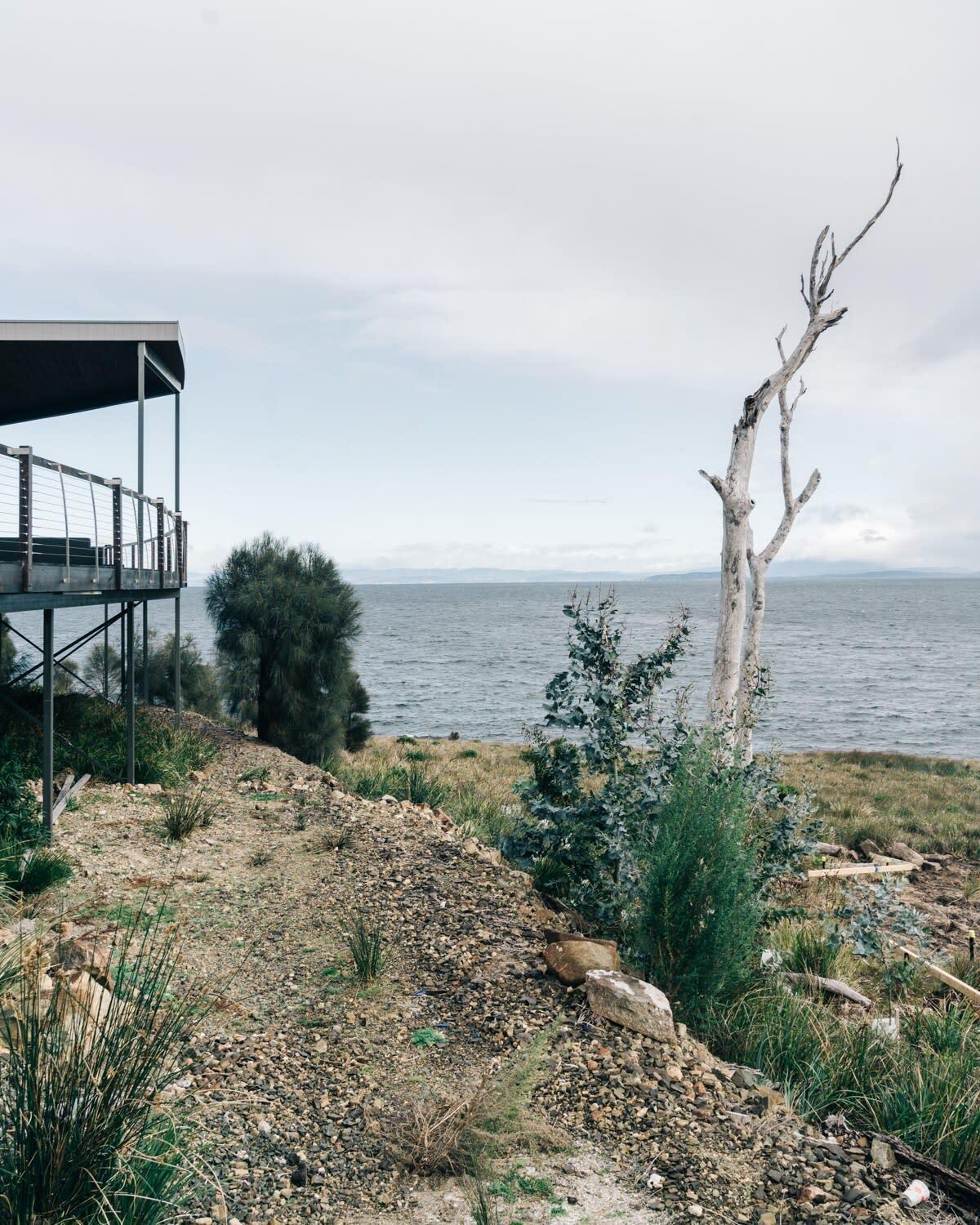 Siren Tasmania