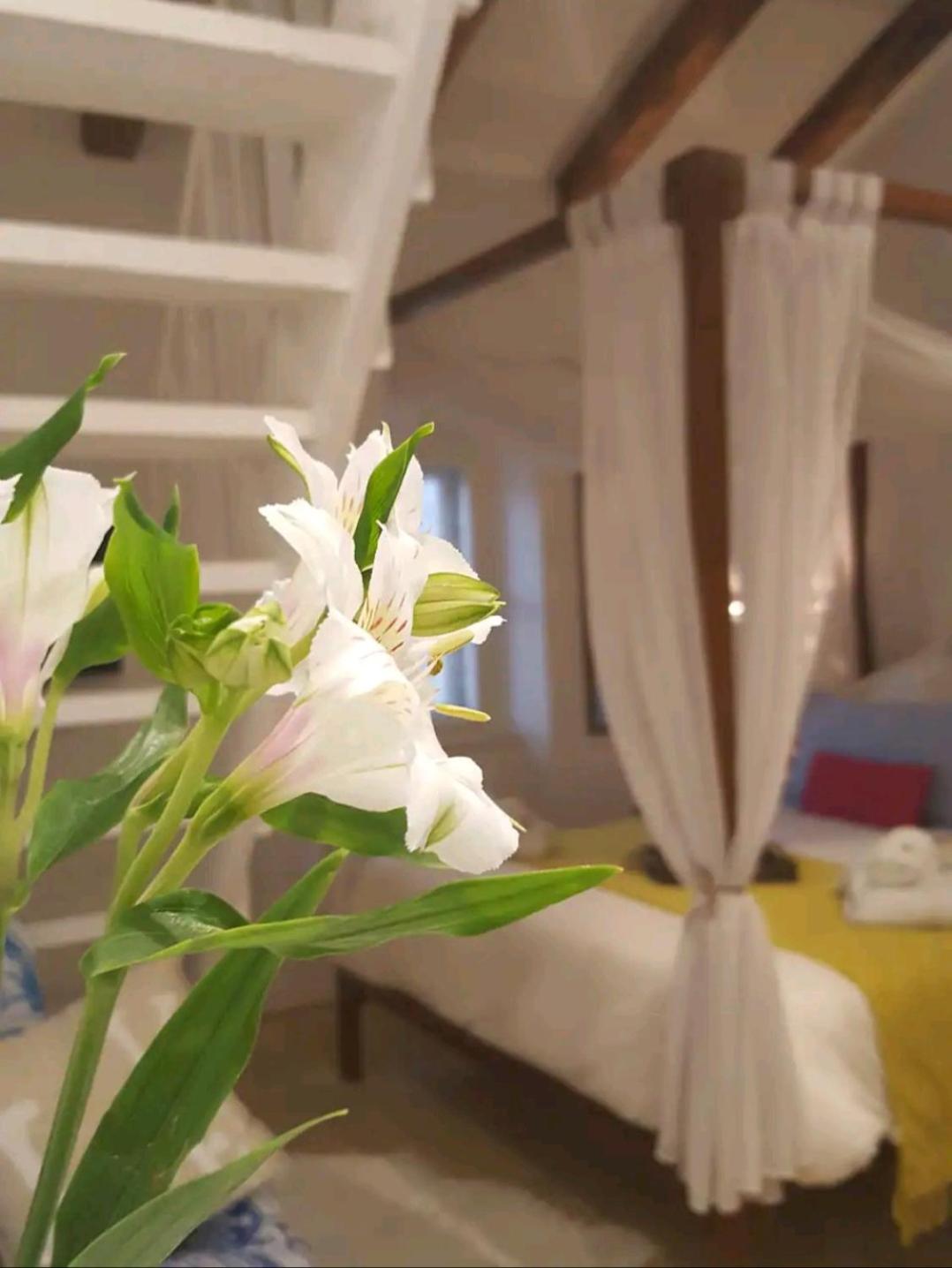 Romantico Nord Est photo 3