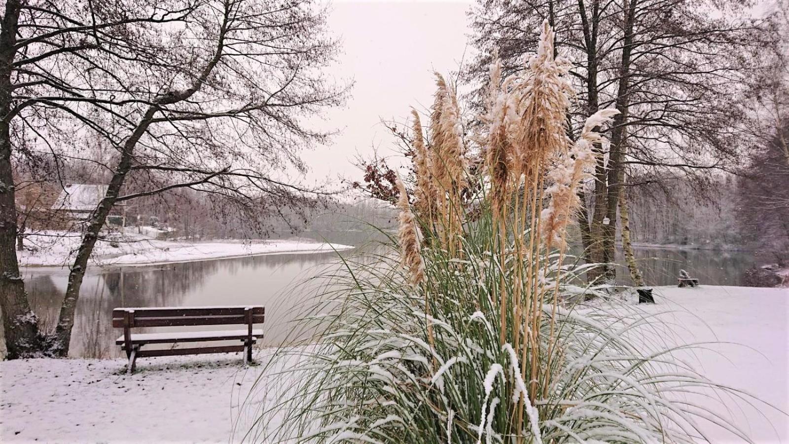 Ferienhaus im Seedorf im Münsterland Warendorf