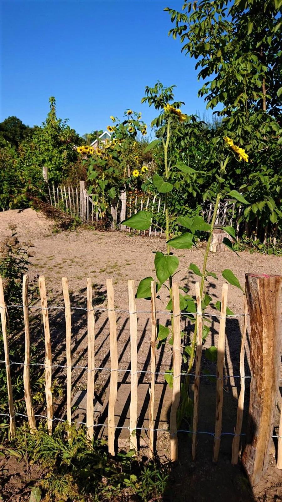Ferienhaus im Seedorf im Münsterland Warendorf