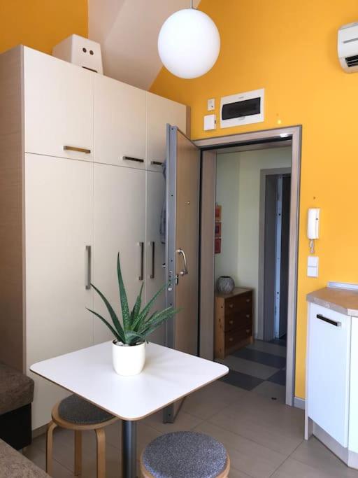 Cosy studio in the very heart of Sofia