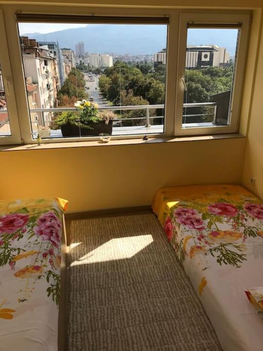 Cosy studio in the very heart of Sofia