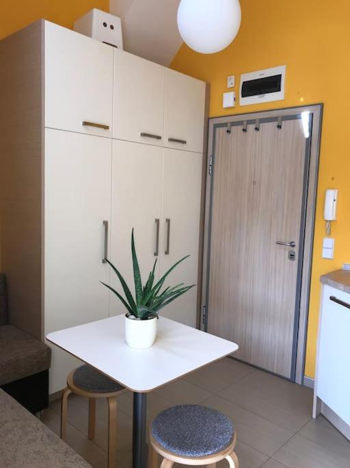 Cosy studio in the very heart of Sofia