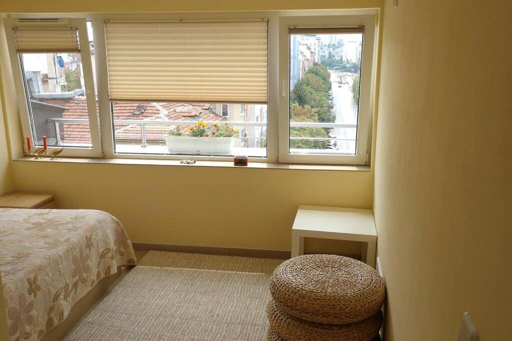 Cosy studio in the very heart of Sofia