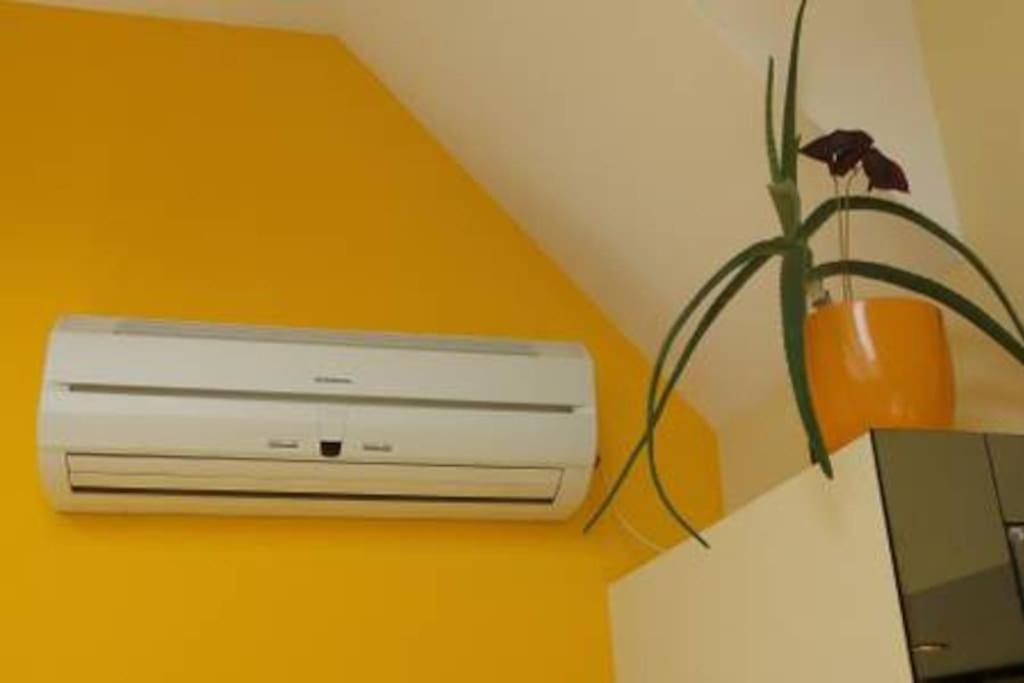 Cosy studio in the very heart of Sofia