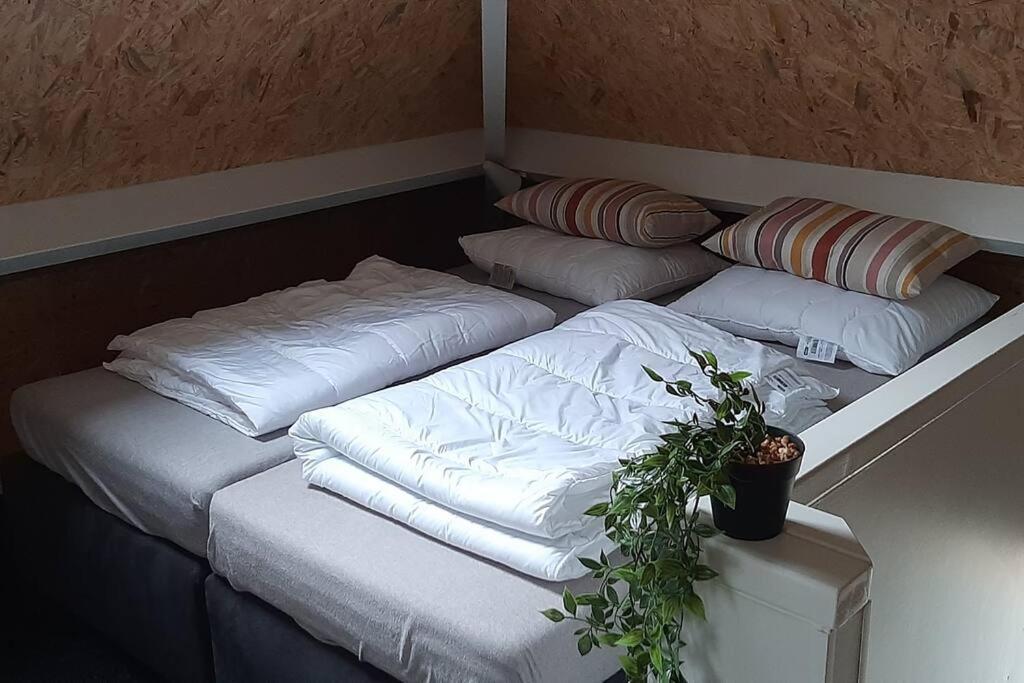 Geschakelde recreatiewoning met omheinde tuin view 3