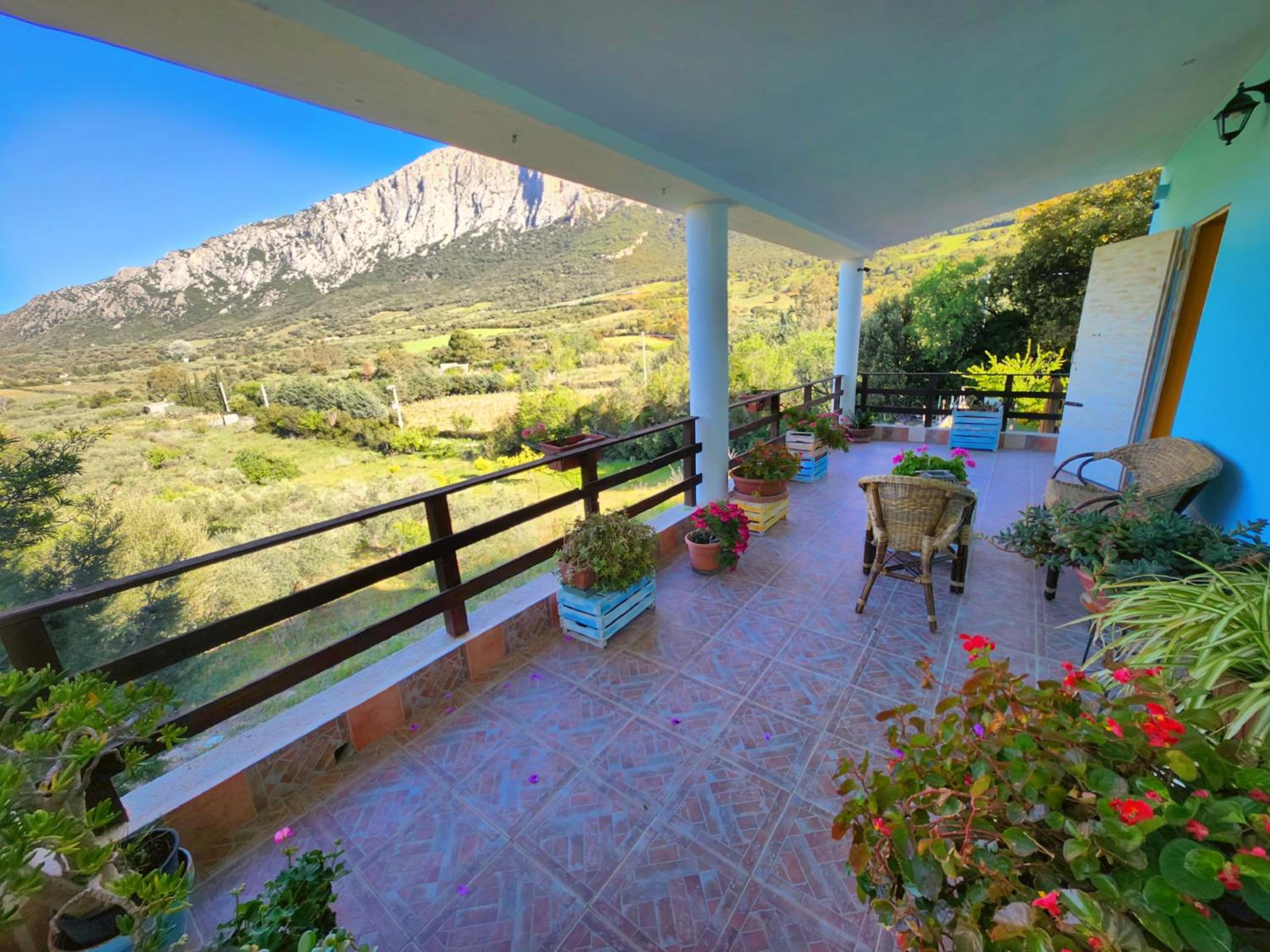 Panoramic House