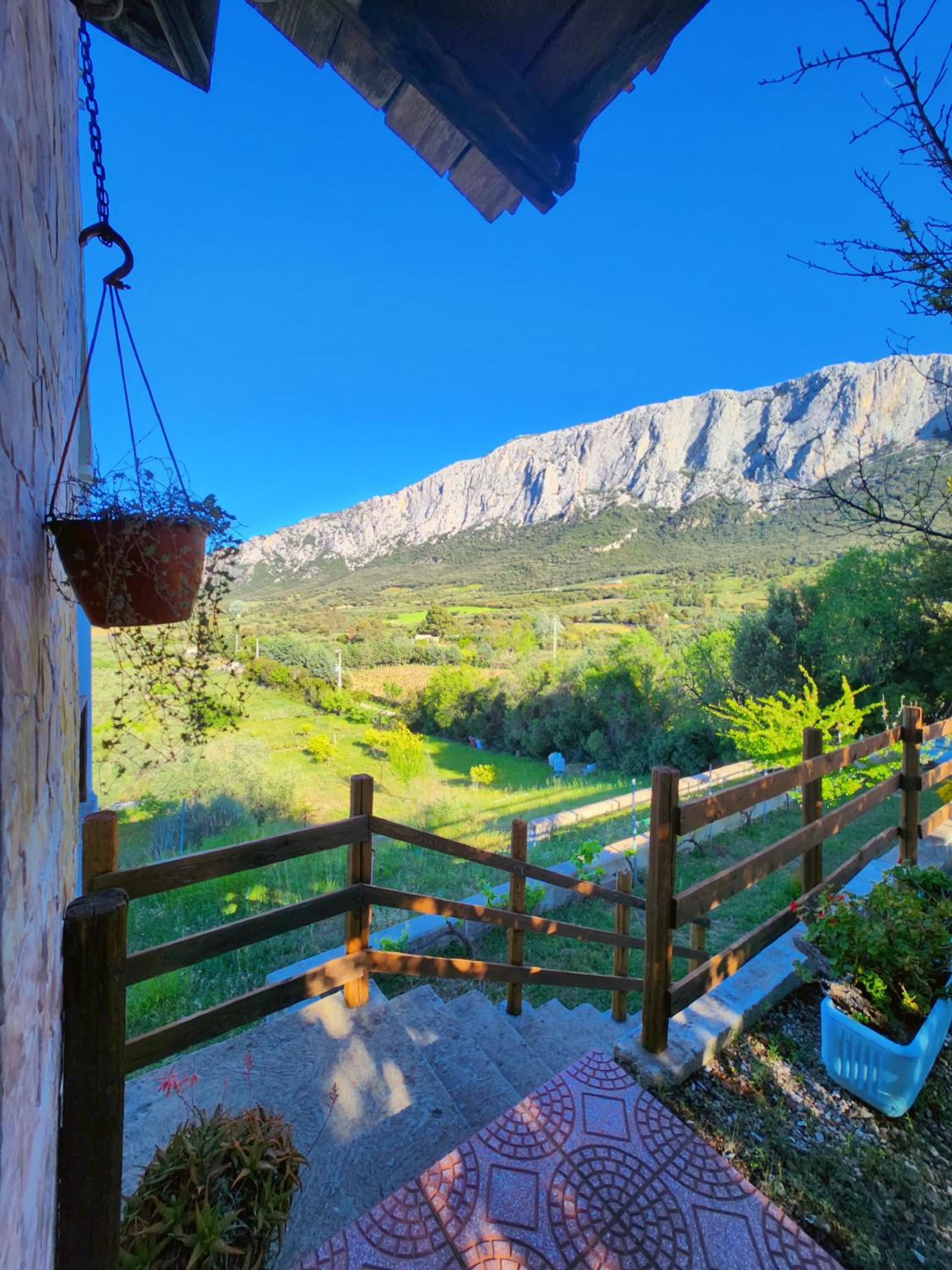 Panoramic House