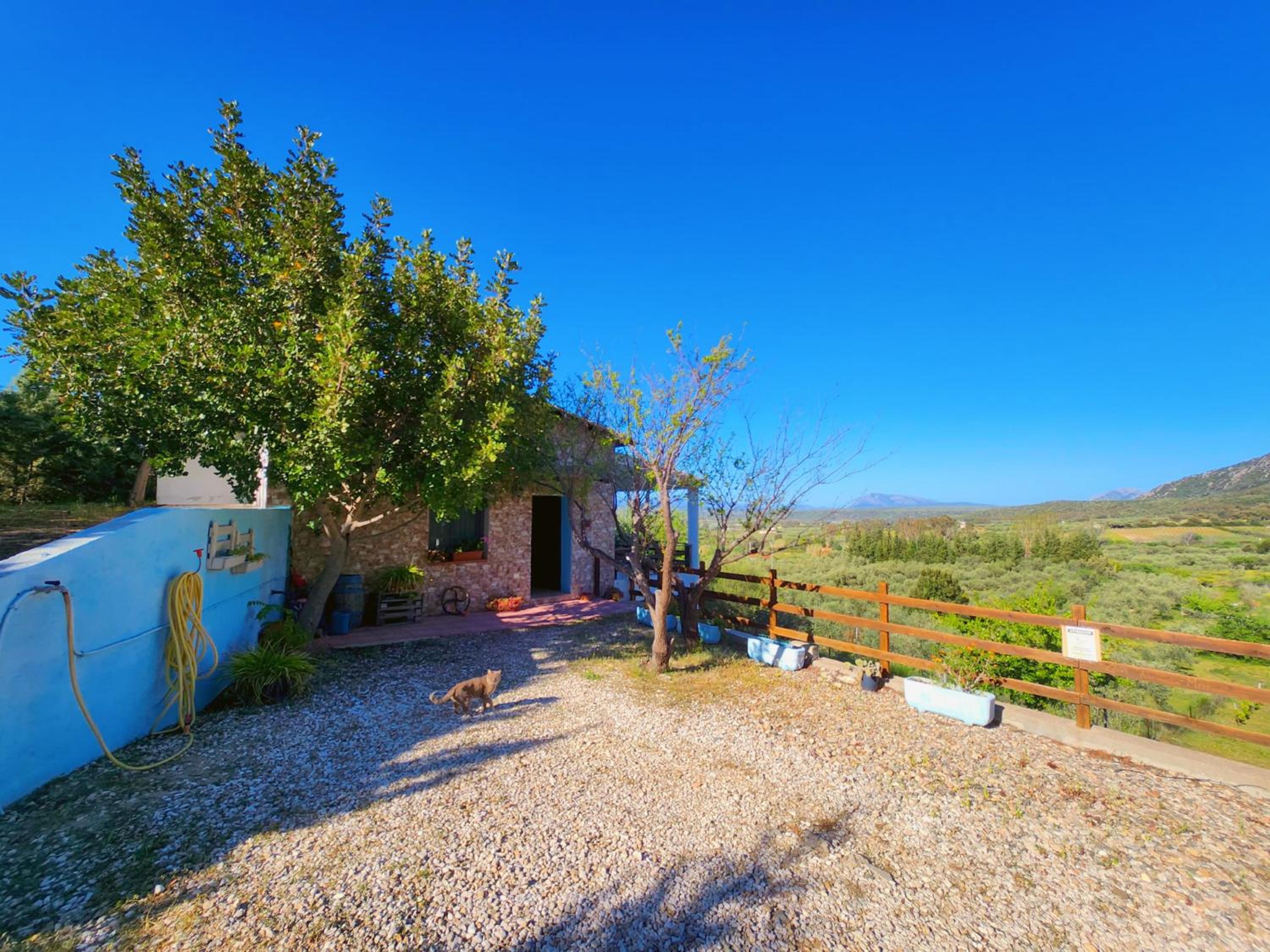 Panoramic House