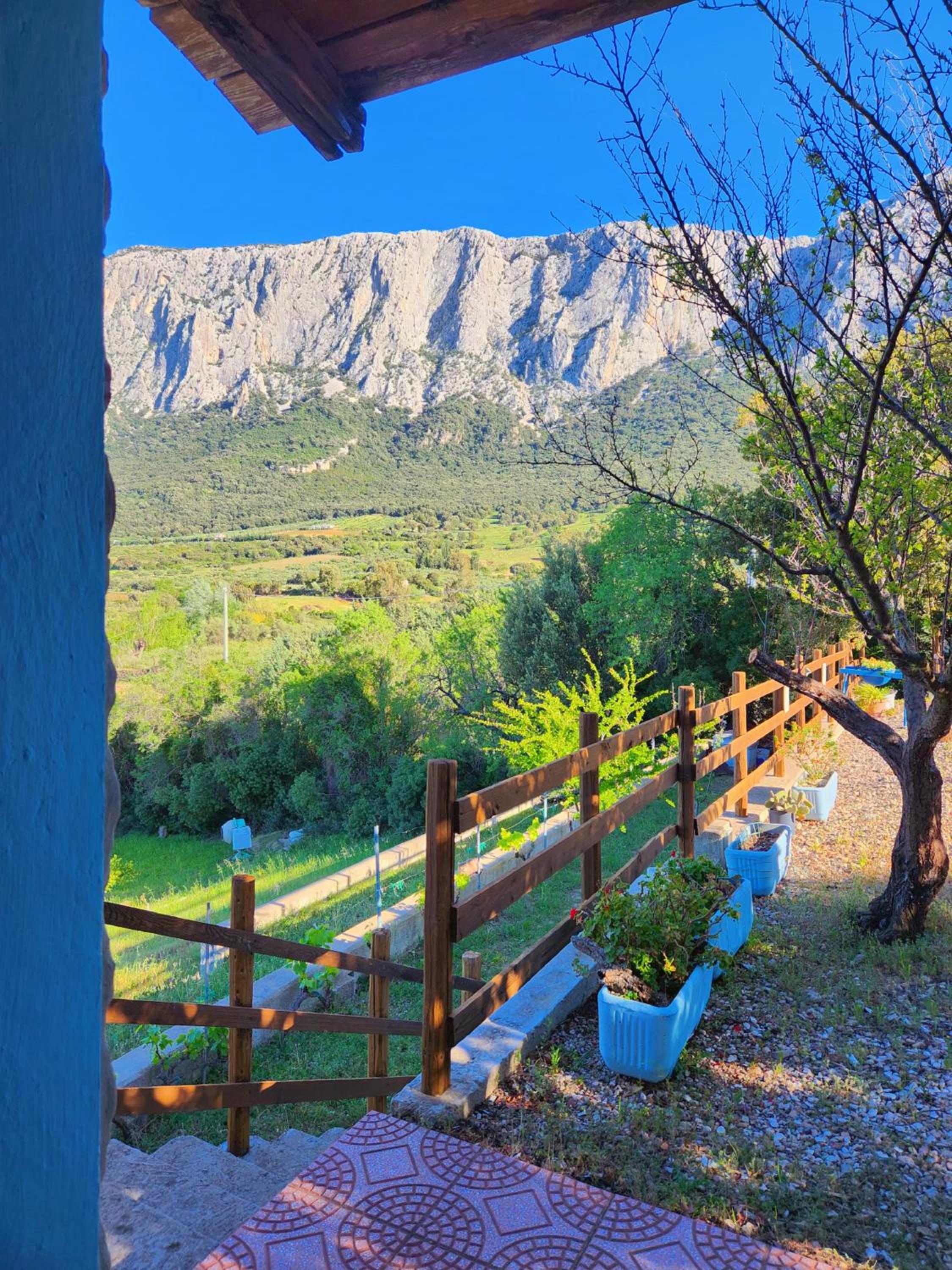 Panoramic House