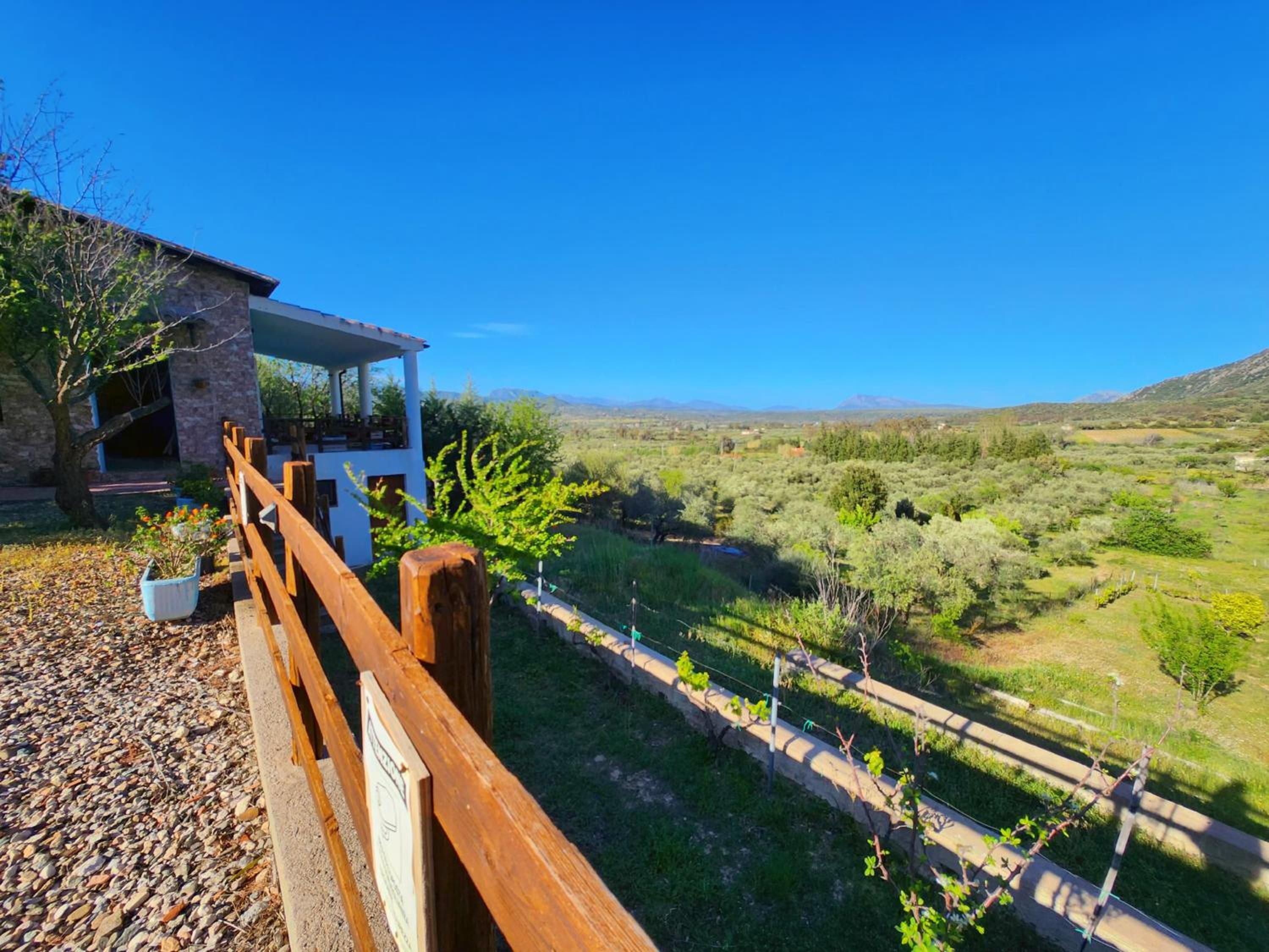 Panoramic House