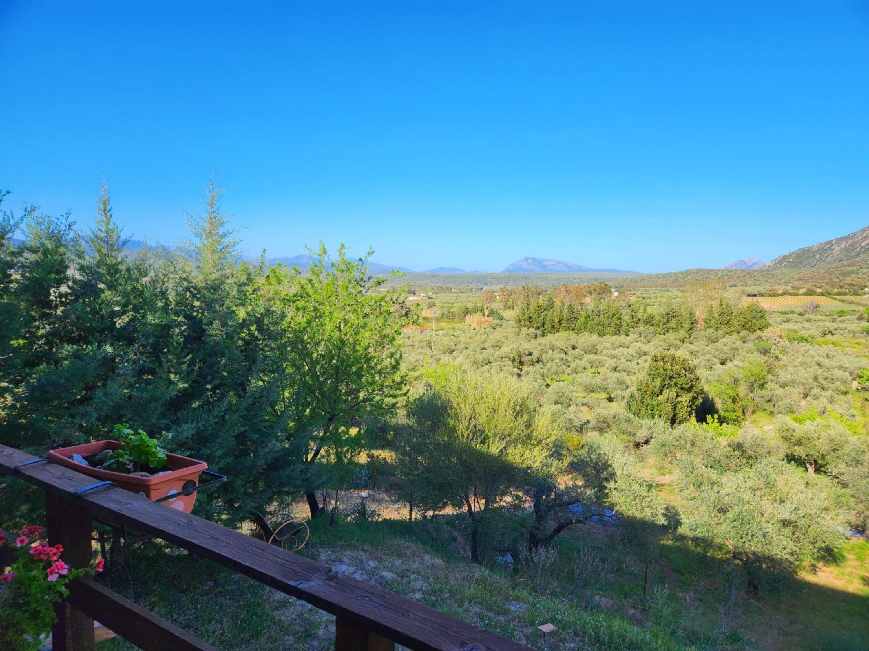 Panoramic House