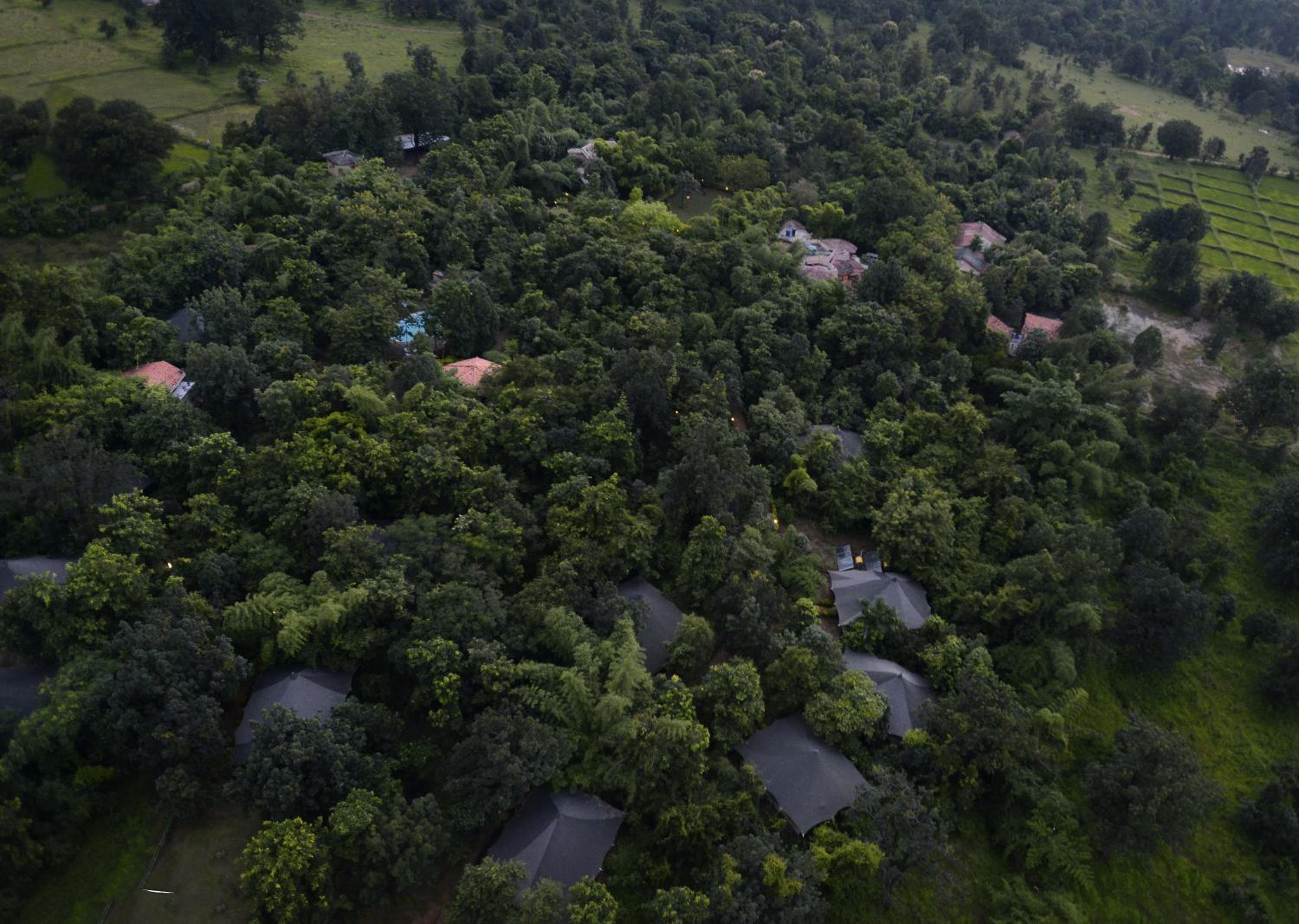Pench Jungle Camp