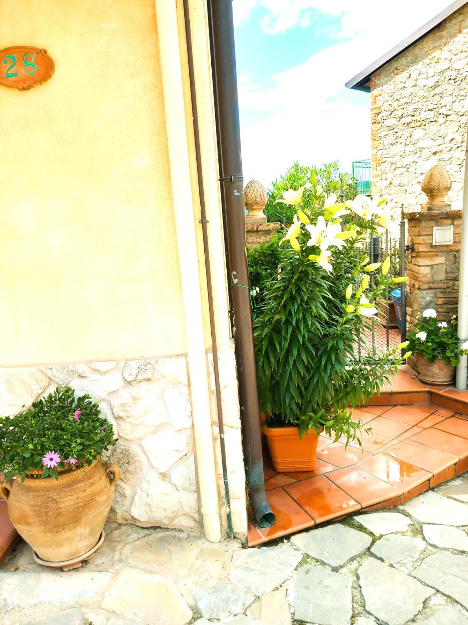 Borgo San Savino