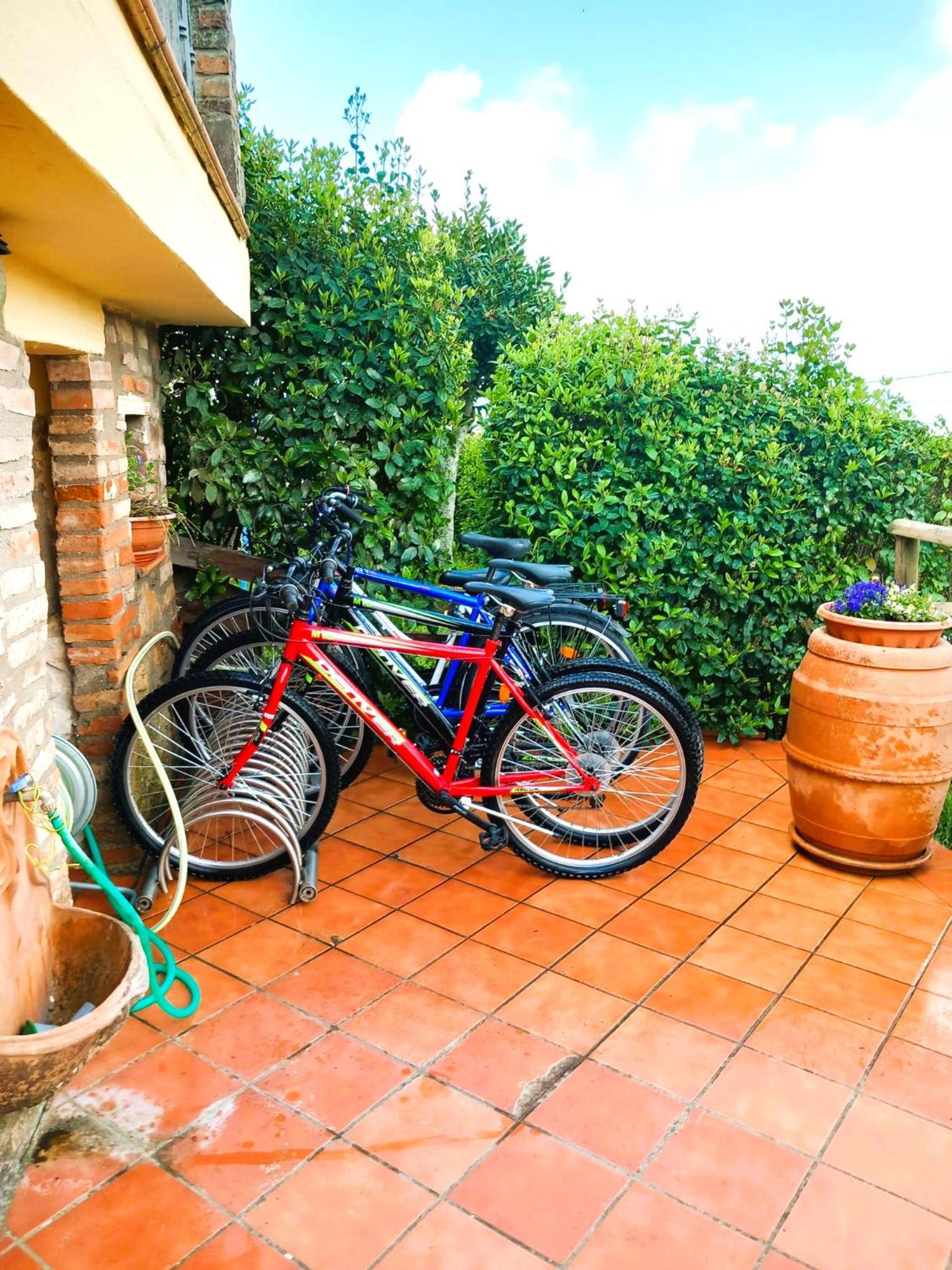 Borgo San Savino