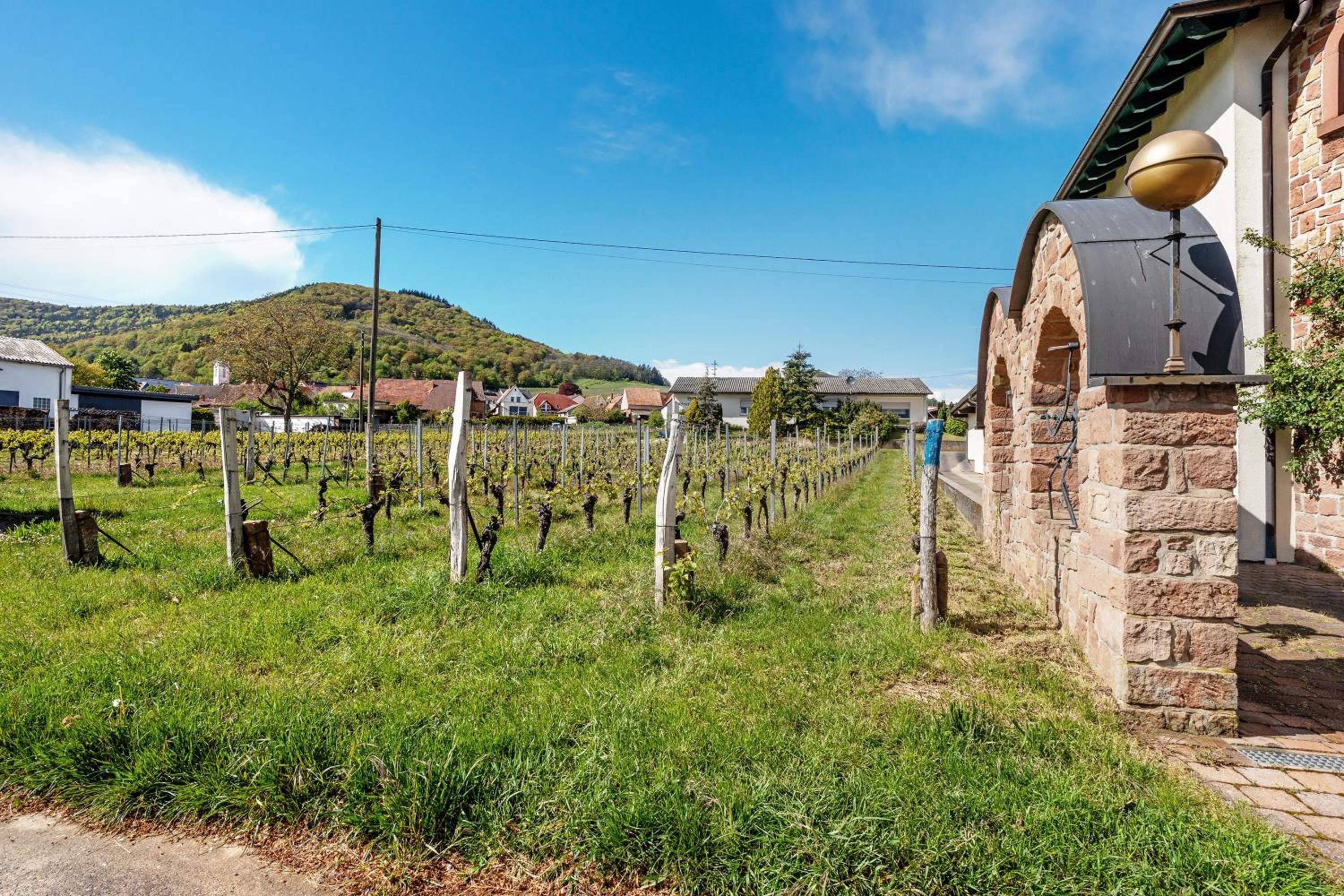 Ferienwohnung Weingut Löwenthal