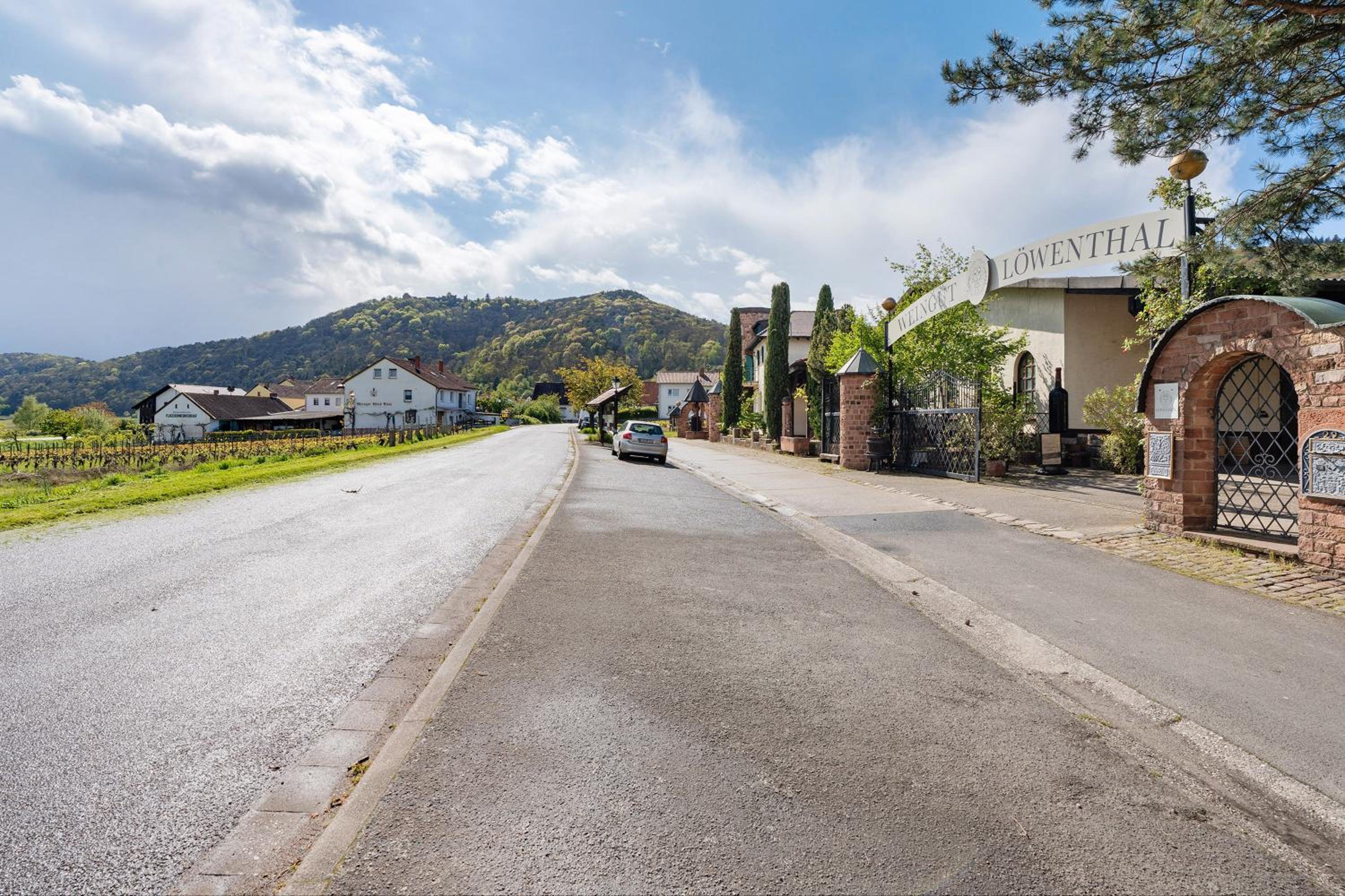 Ferienwohnung Weingut Löwenthal