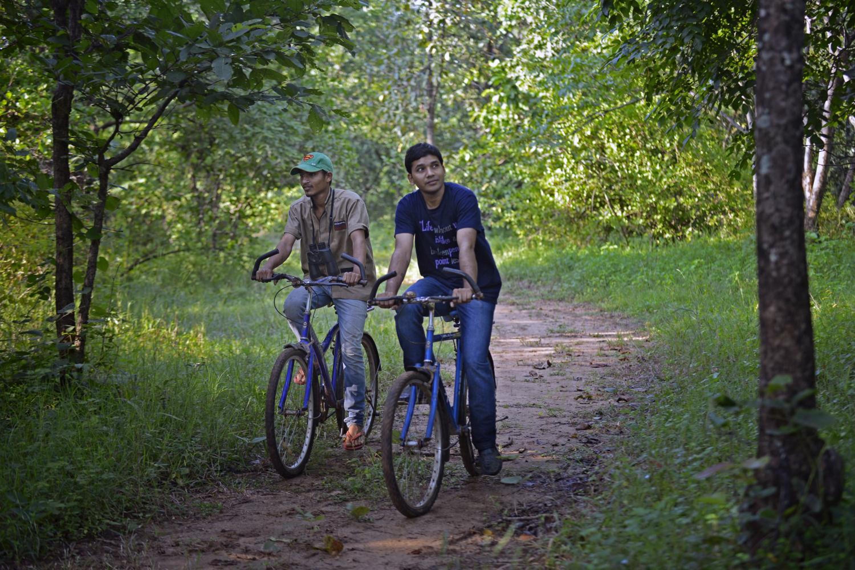 Pench Jungle Camp