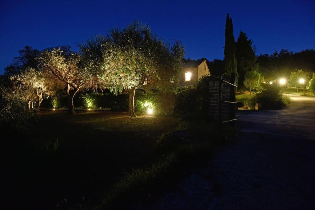 Rustic Country house
