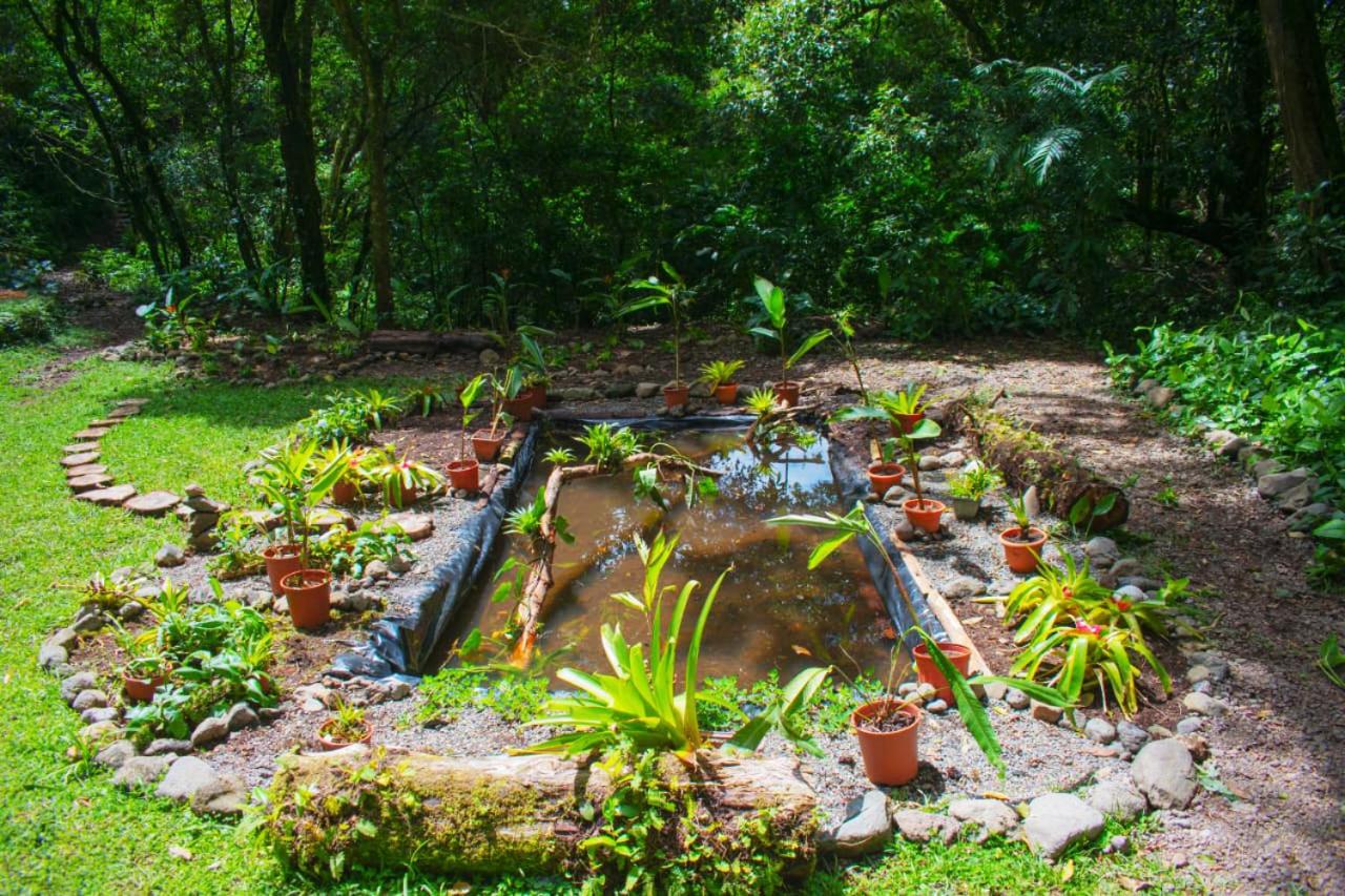 Cabañas Emerald Forest