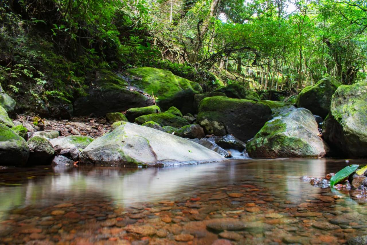 Cabañas Emerald Forest