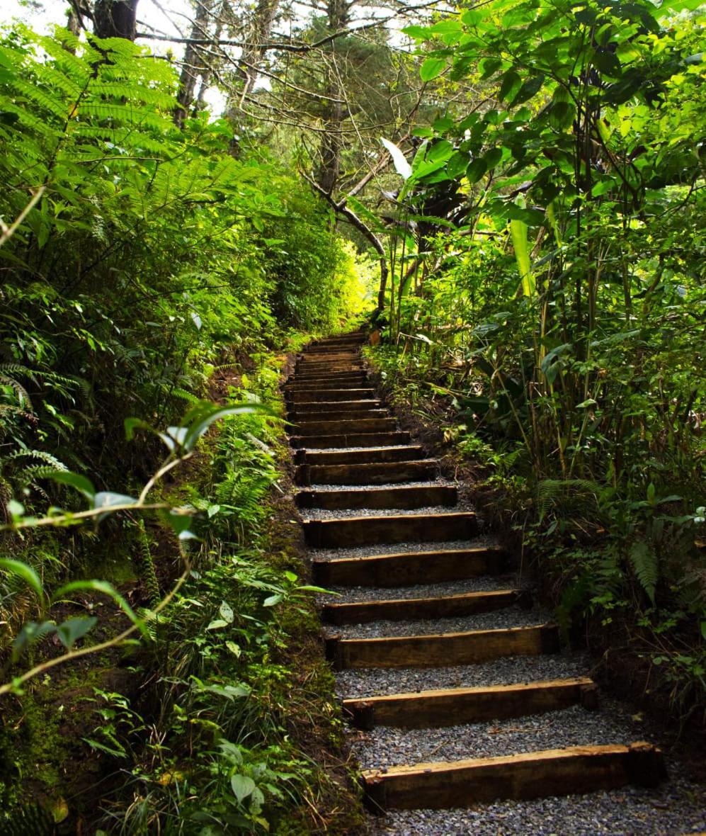 Cabañas Emerald Forest